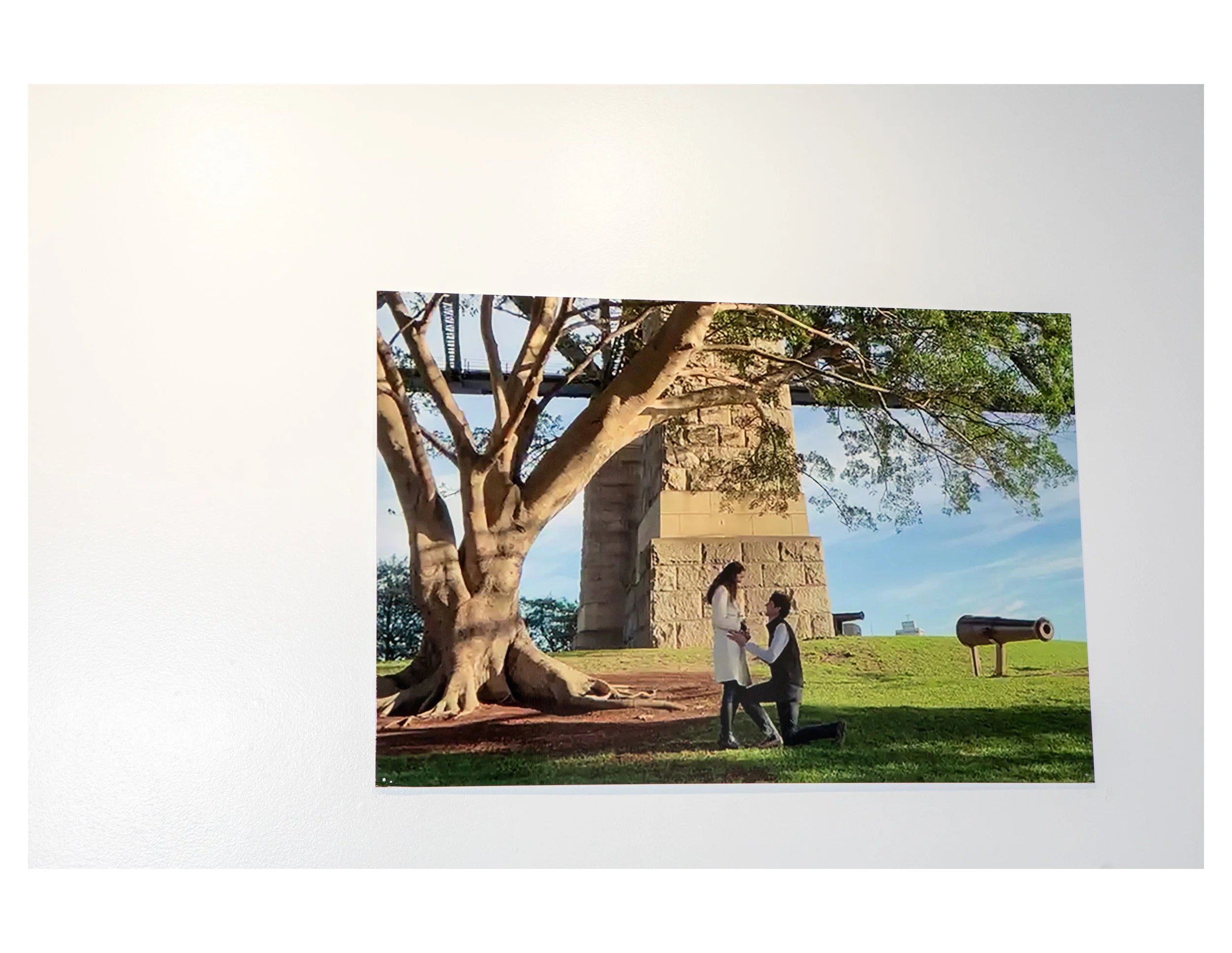 A large tree with a thick trunk and sprawling branches in a public park, with a stone monument and a cannon nearby. Two people are walking and talking underneath the tree in front of the monument.