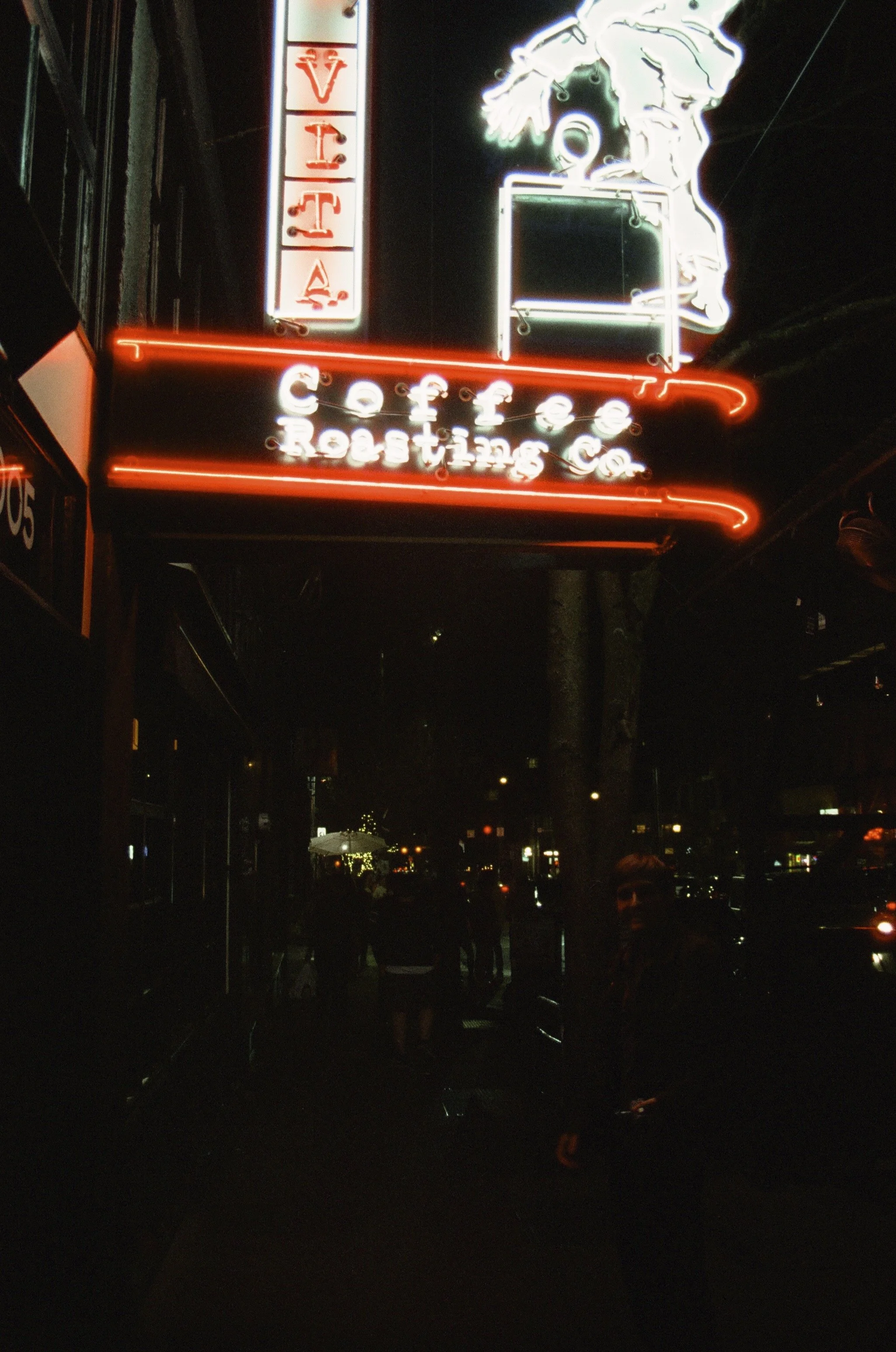 2024.04.20.cinestill.800.t-1.jpeg