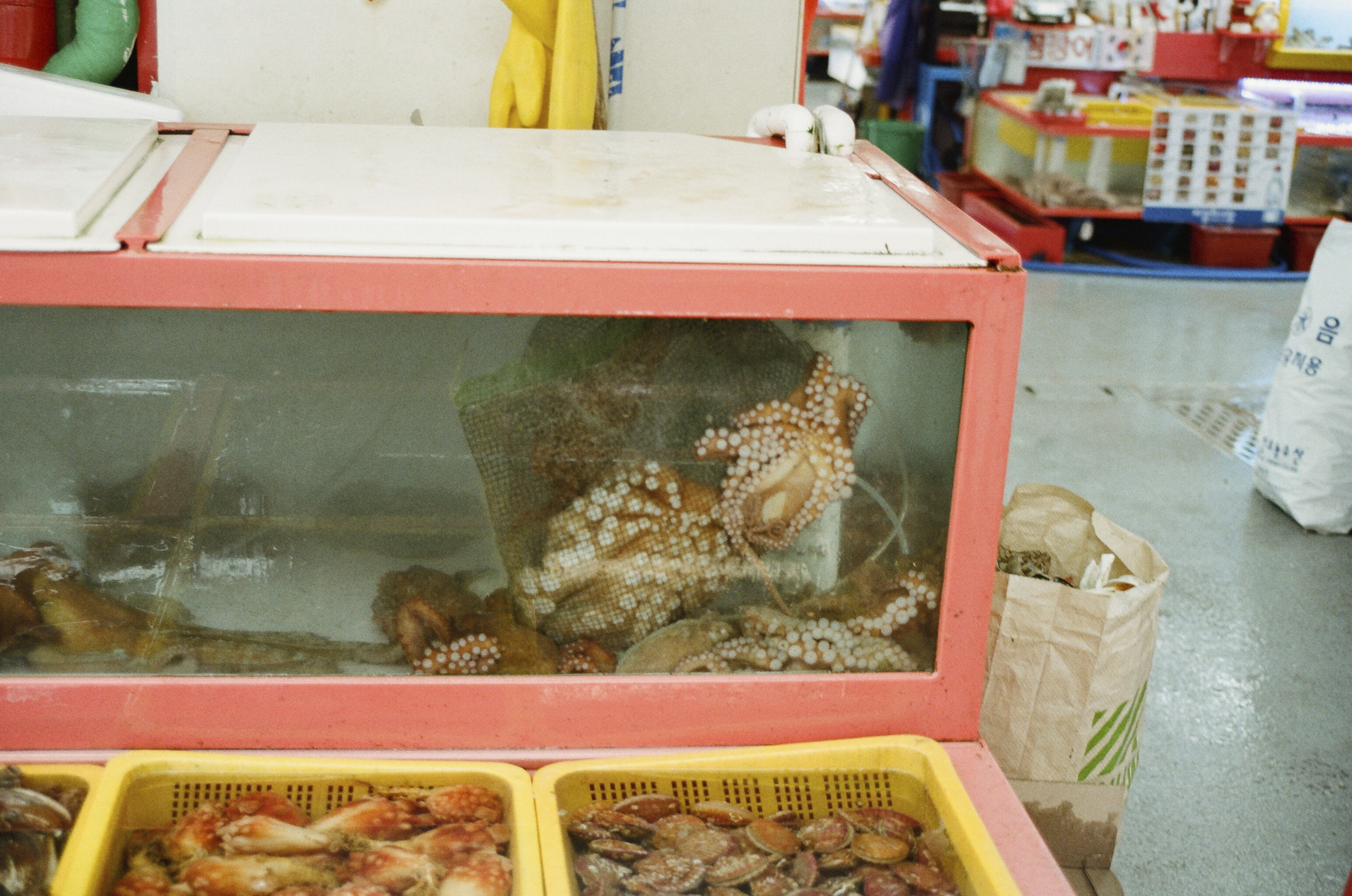 Busan fish market 02
