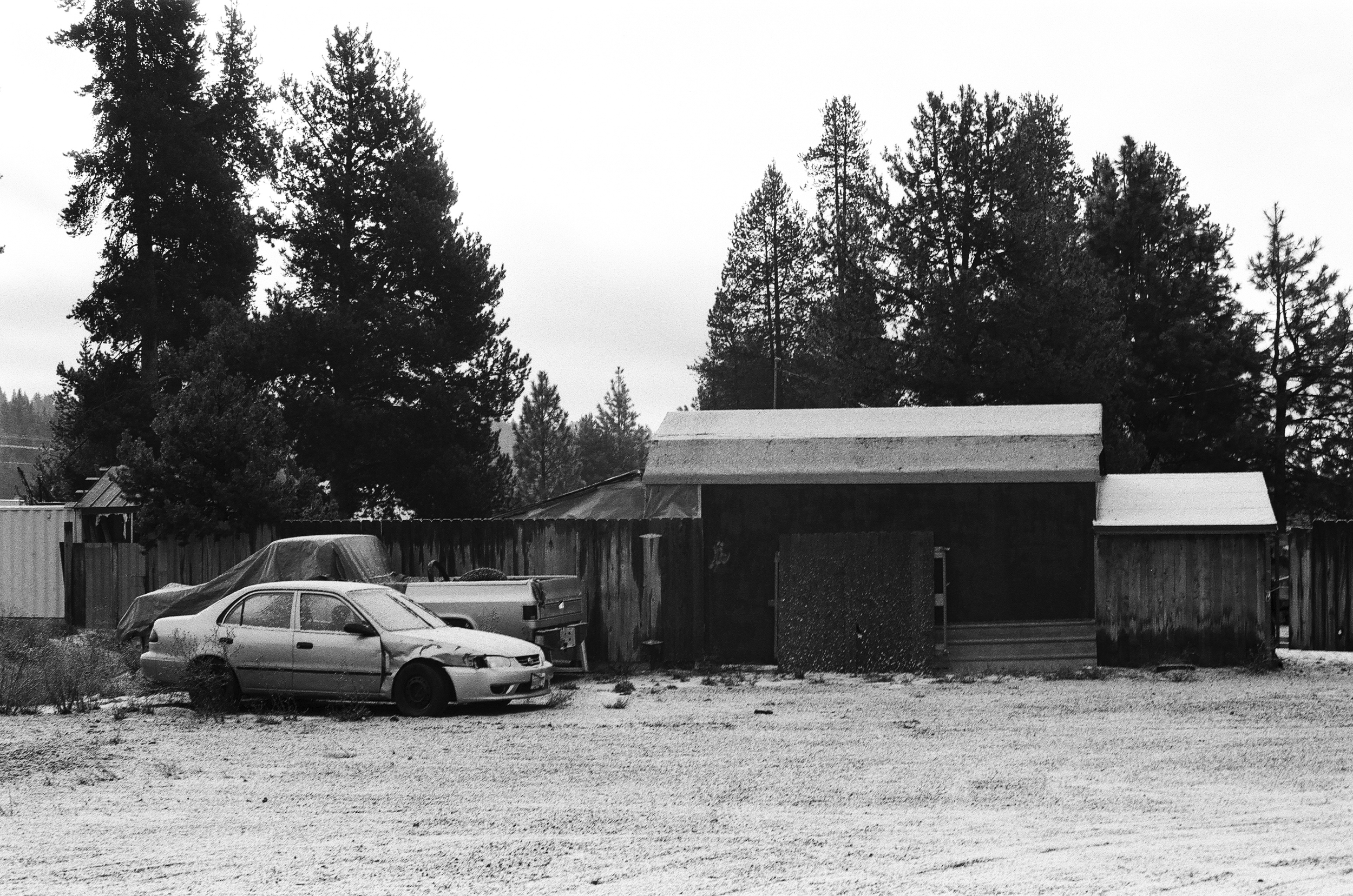 Shot on 35mm Ilford Delta 100 black and white film