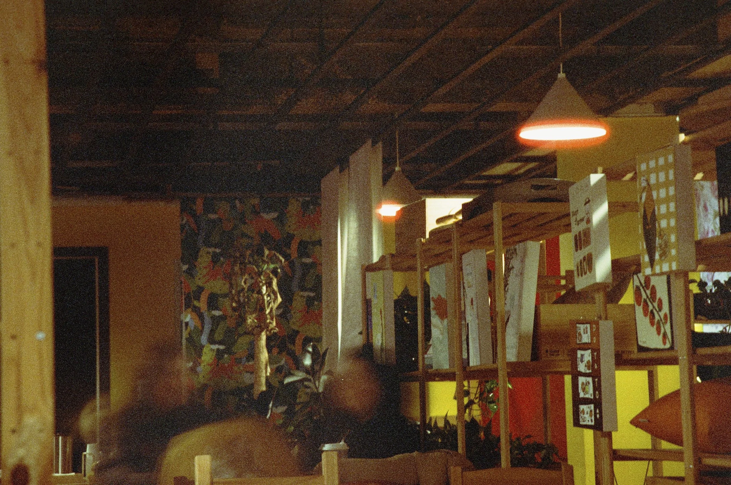 2025.02.01.cinestill.800.t-14.jpeg