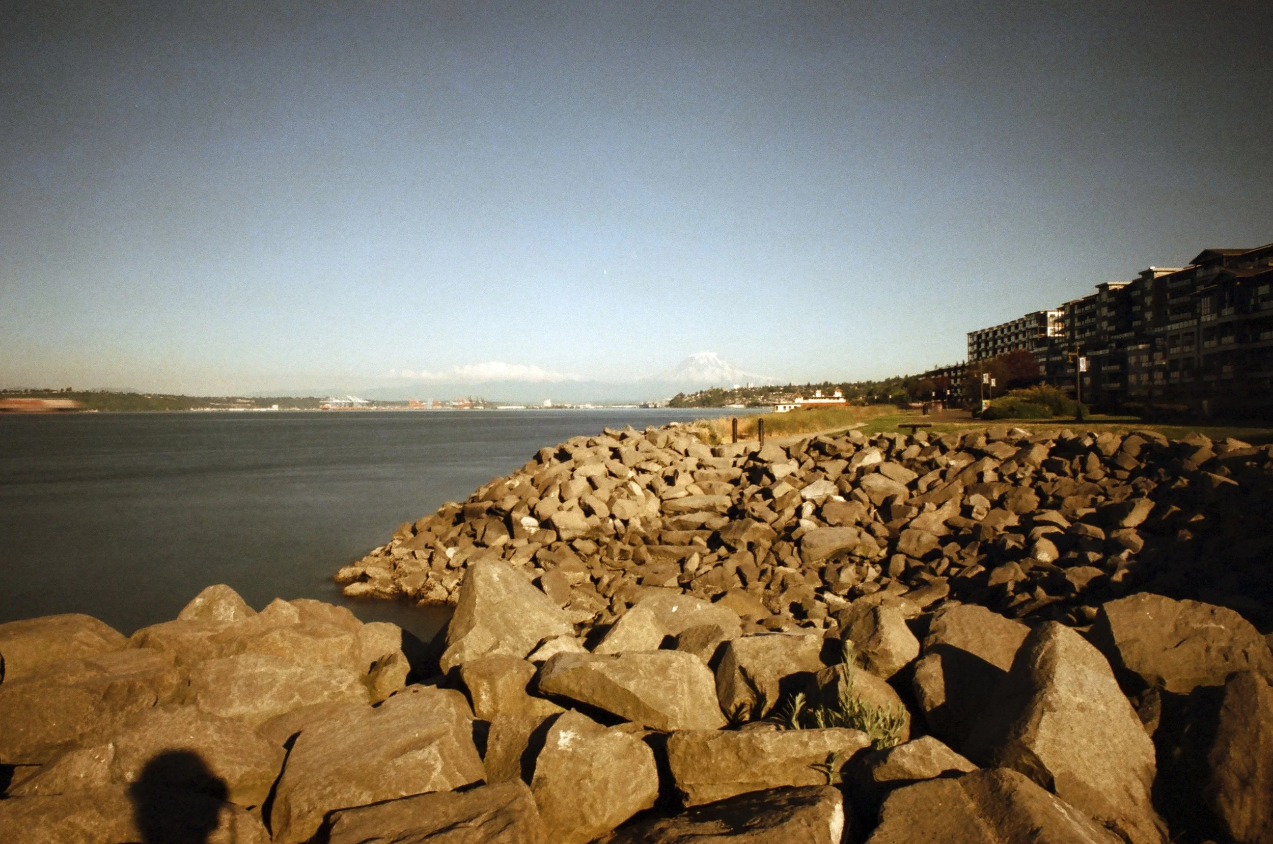 Expired Fuji 100 (shot at 25) 