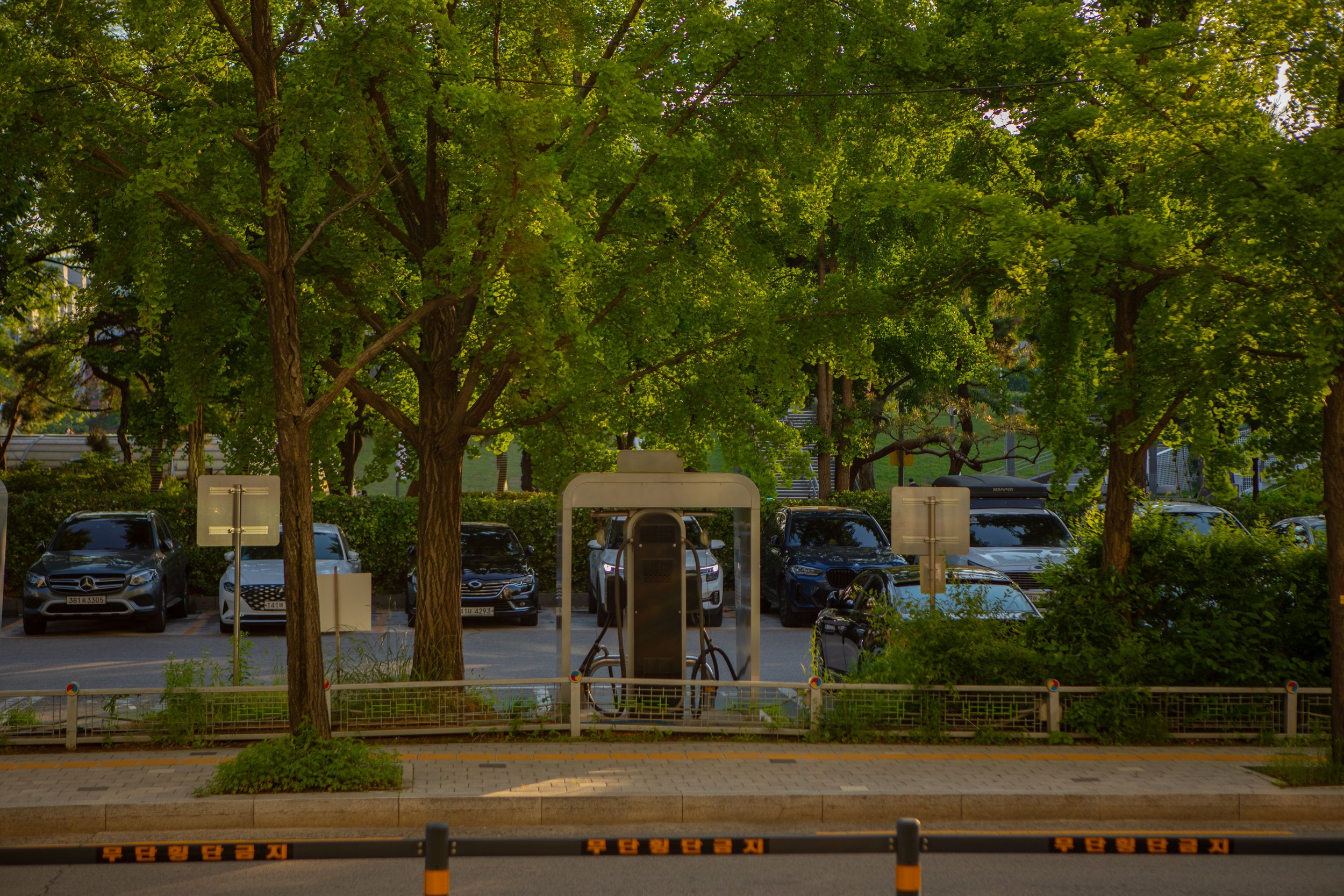 seoul (unedited)-79.jpg