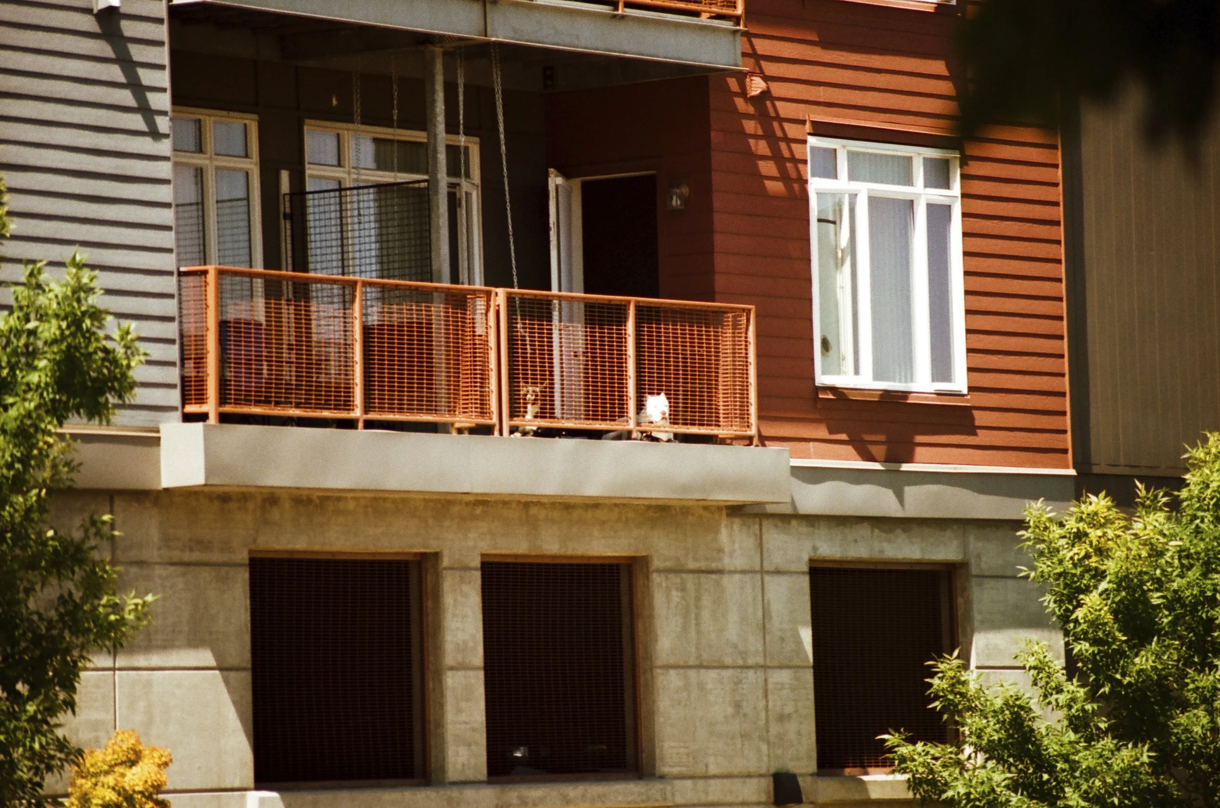 Expired Fuji 100 (shot at 25) 