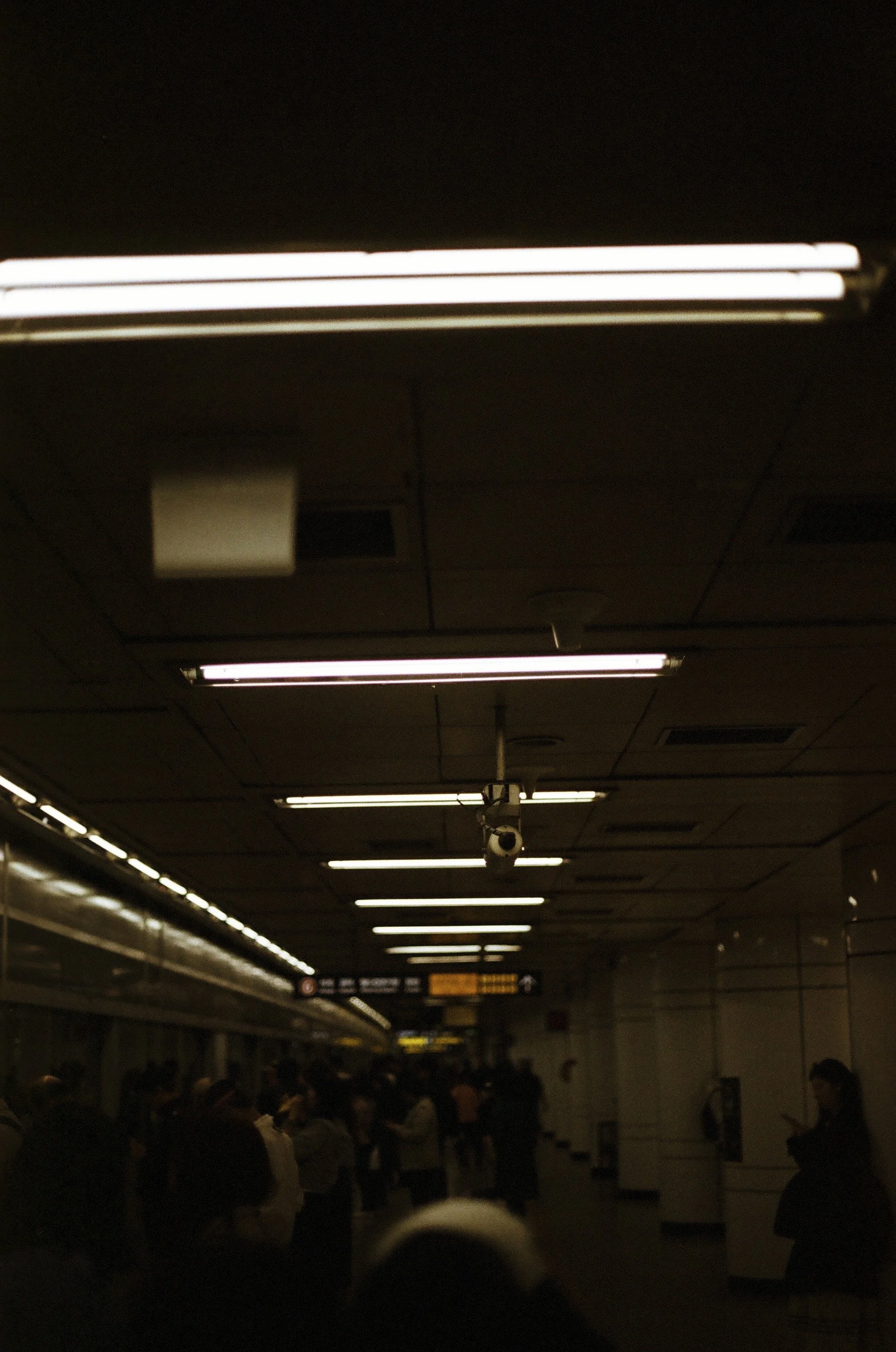 Expired Fuji 100 (shot at 25)