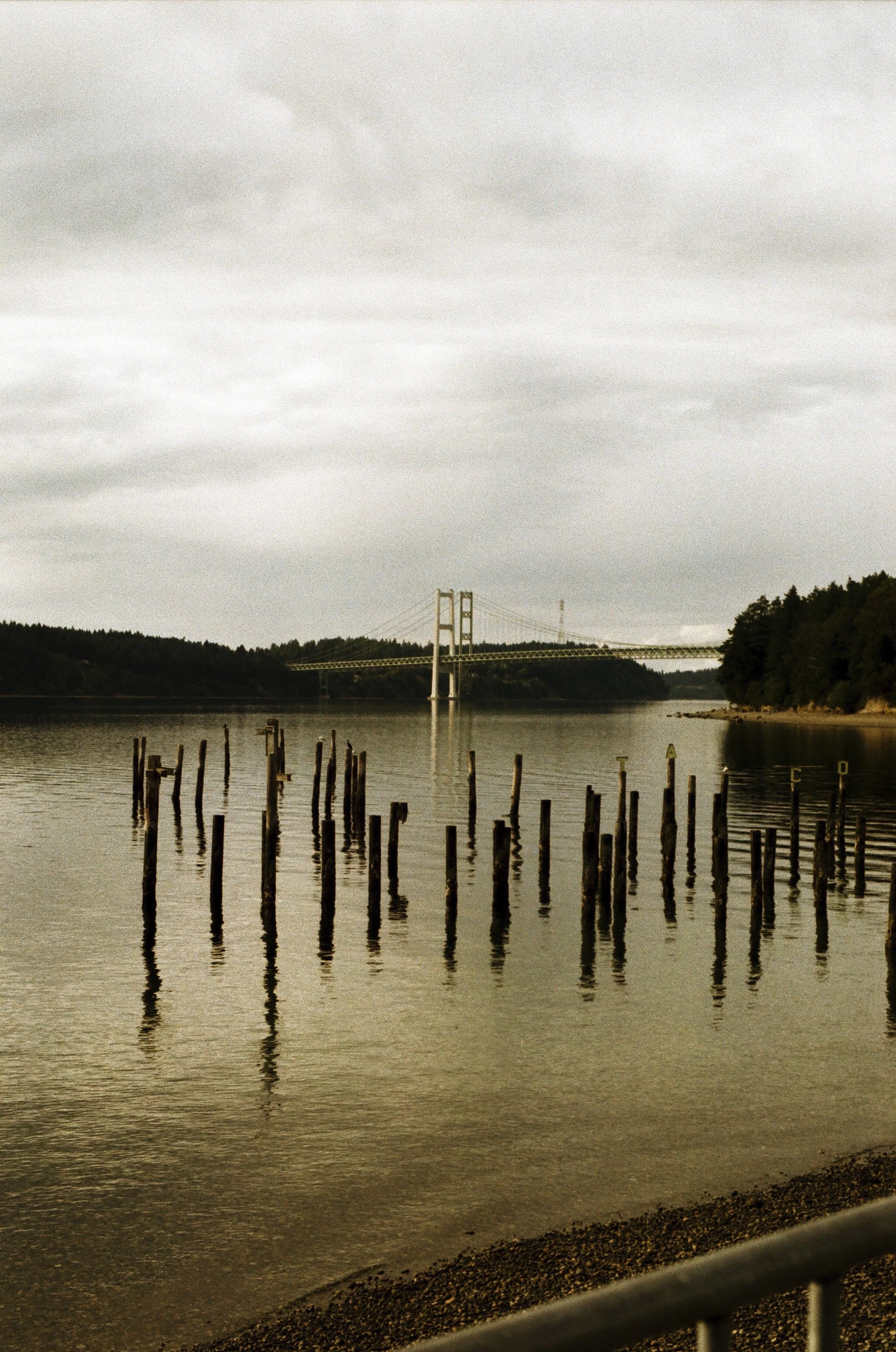 Expired Fuji 100 (shot at 25) pushed 1 stop