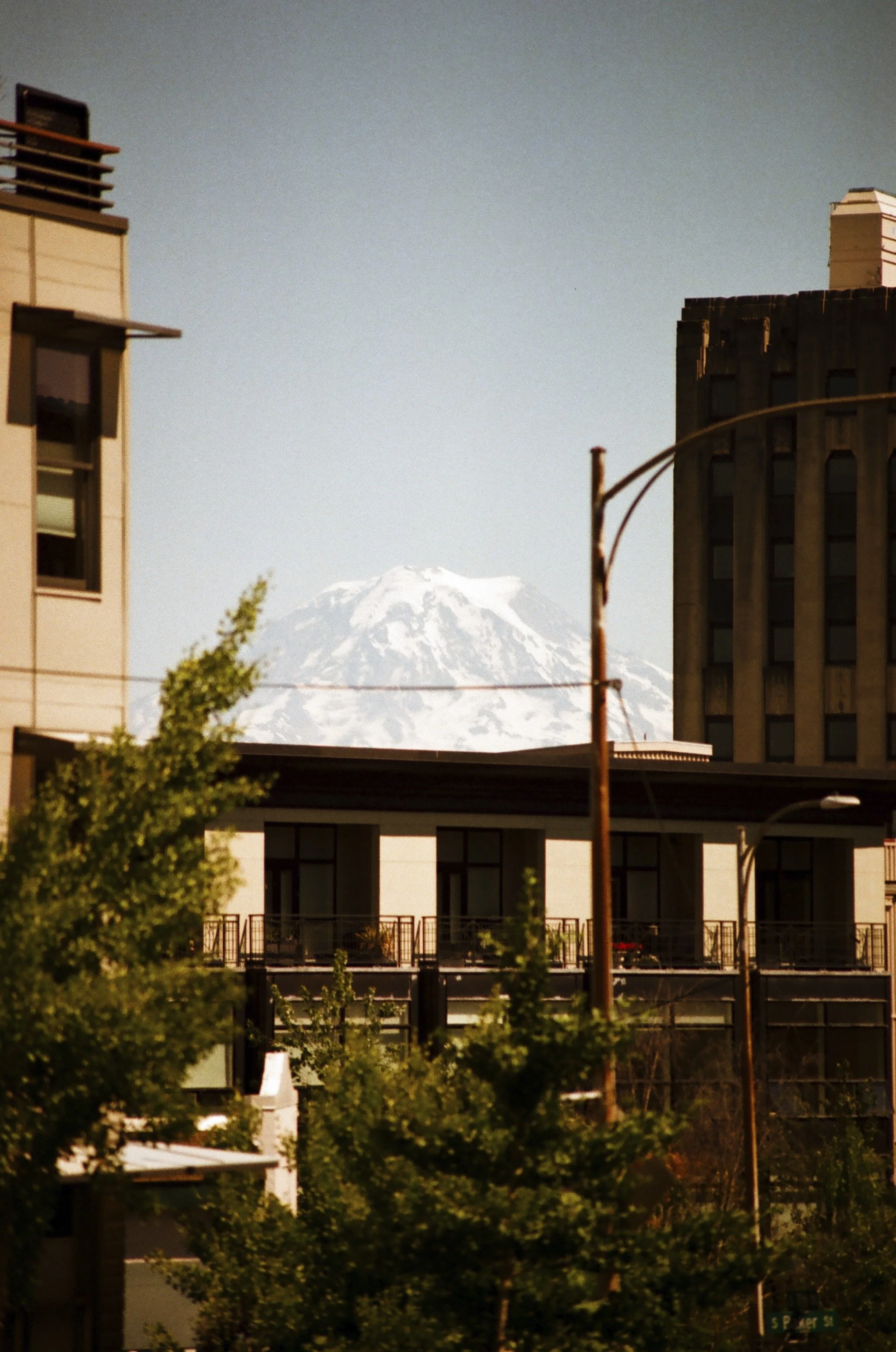 Expired Fuji 100 (shot at 25) 