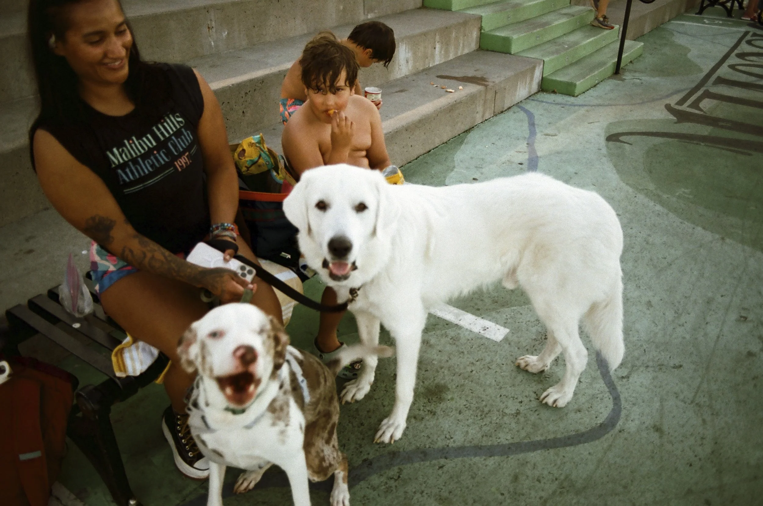 Expired Fuji 100 (shot at 25) 