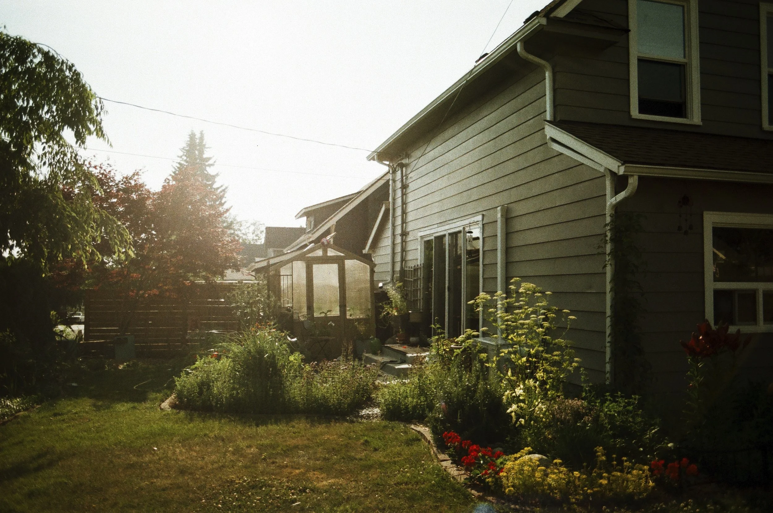 Expired Fuji 100 (shot at 25) pushed 1 stop