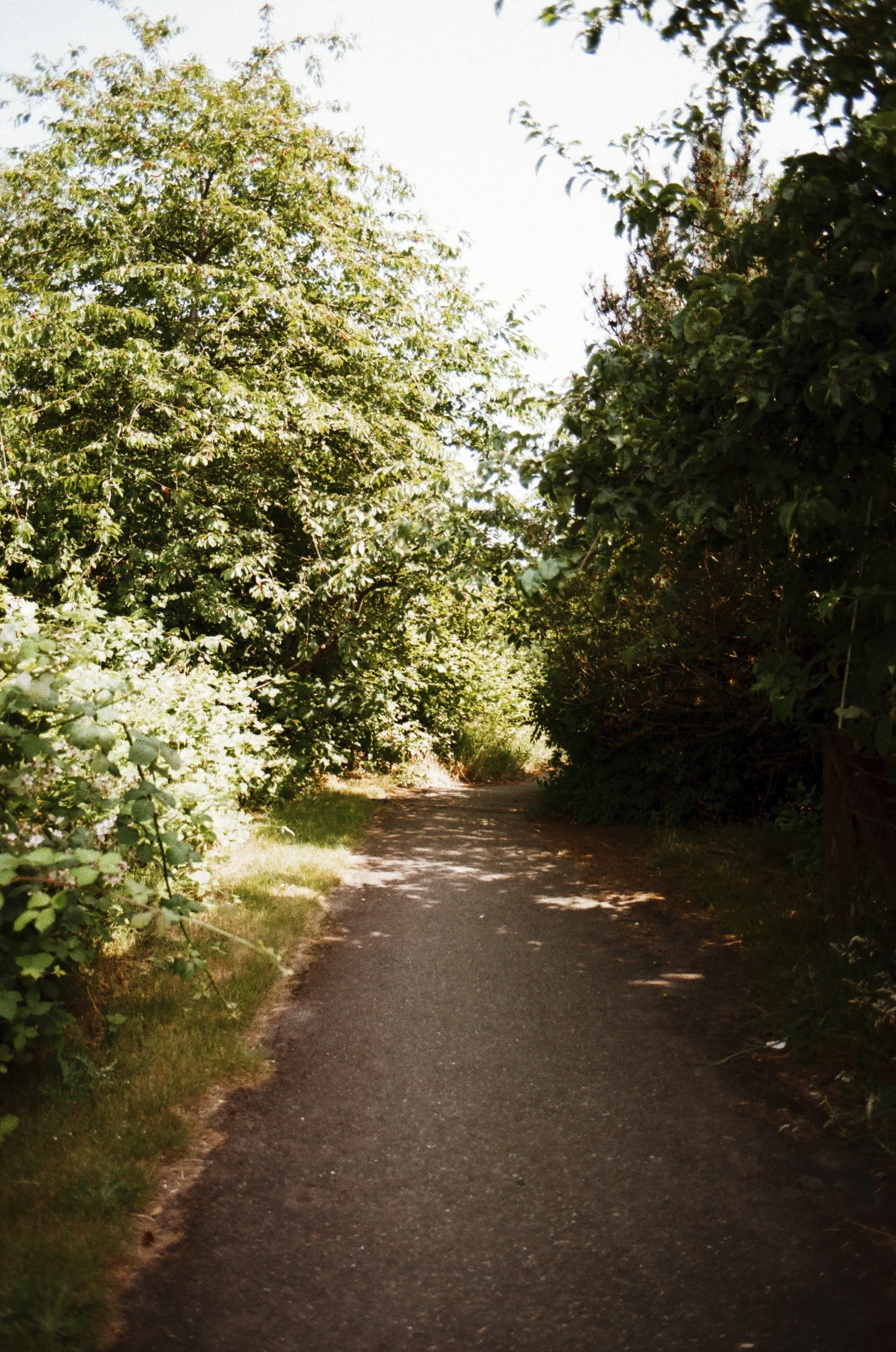 Expired Fuji 100 (shot at 25) pushed 1 stop