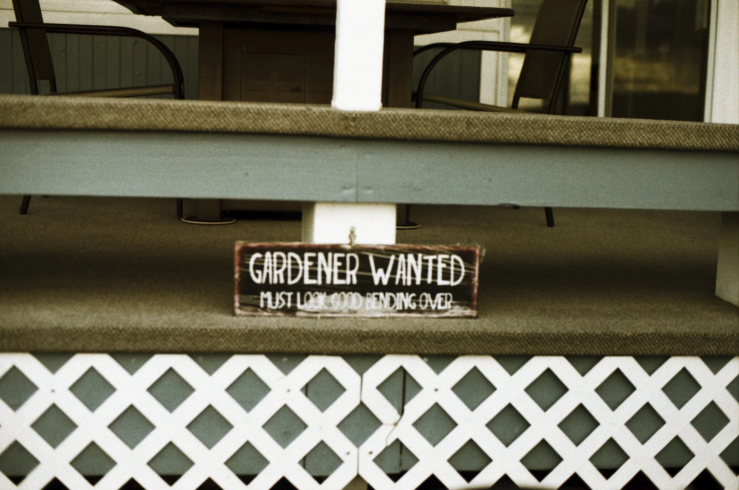 Expired Fuji 100 (shot at 25) pushed 1 stop