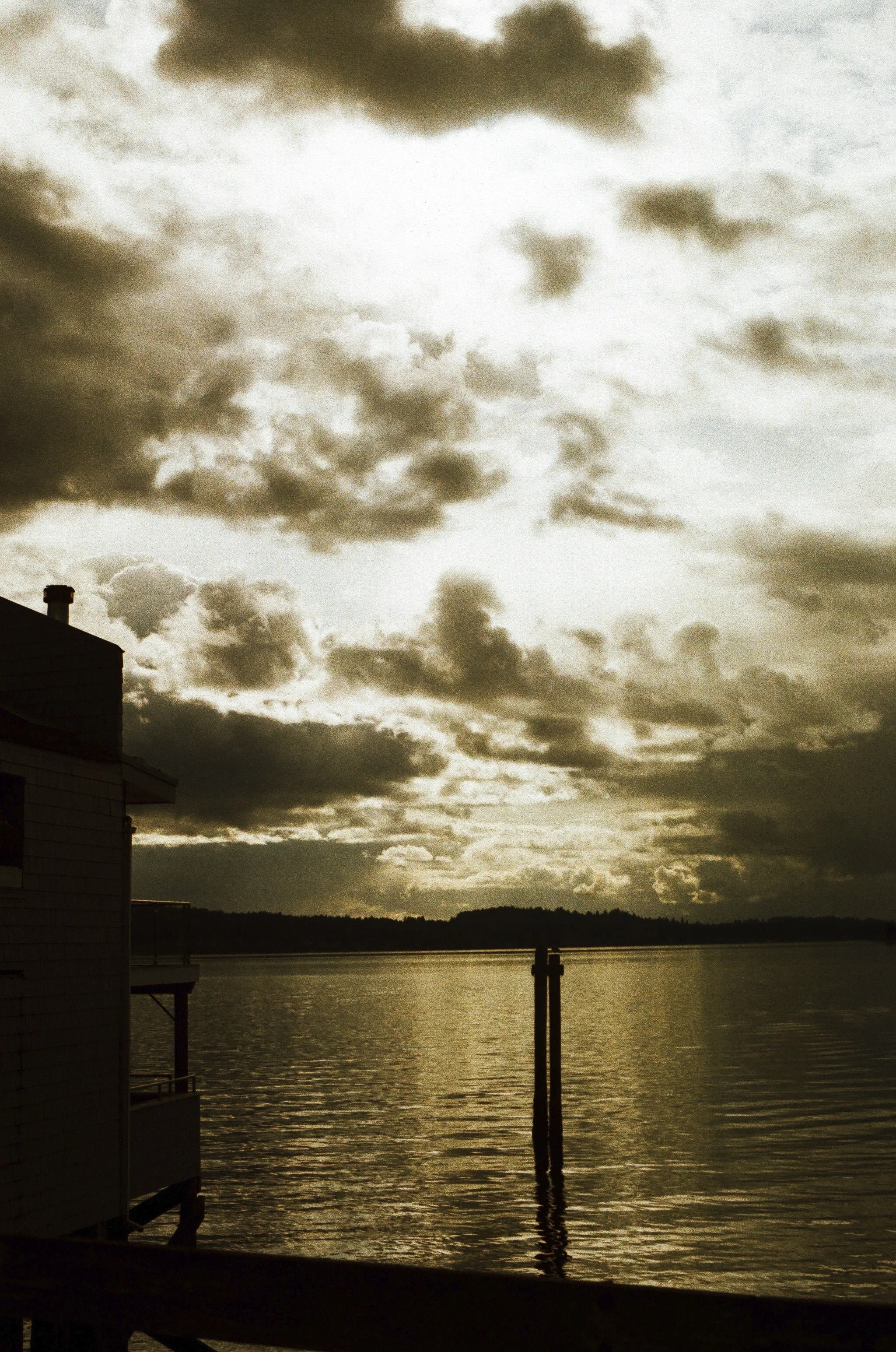 Expired Fuji 100 (shot at 25) pushed 1 stop