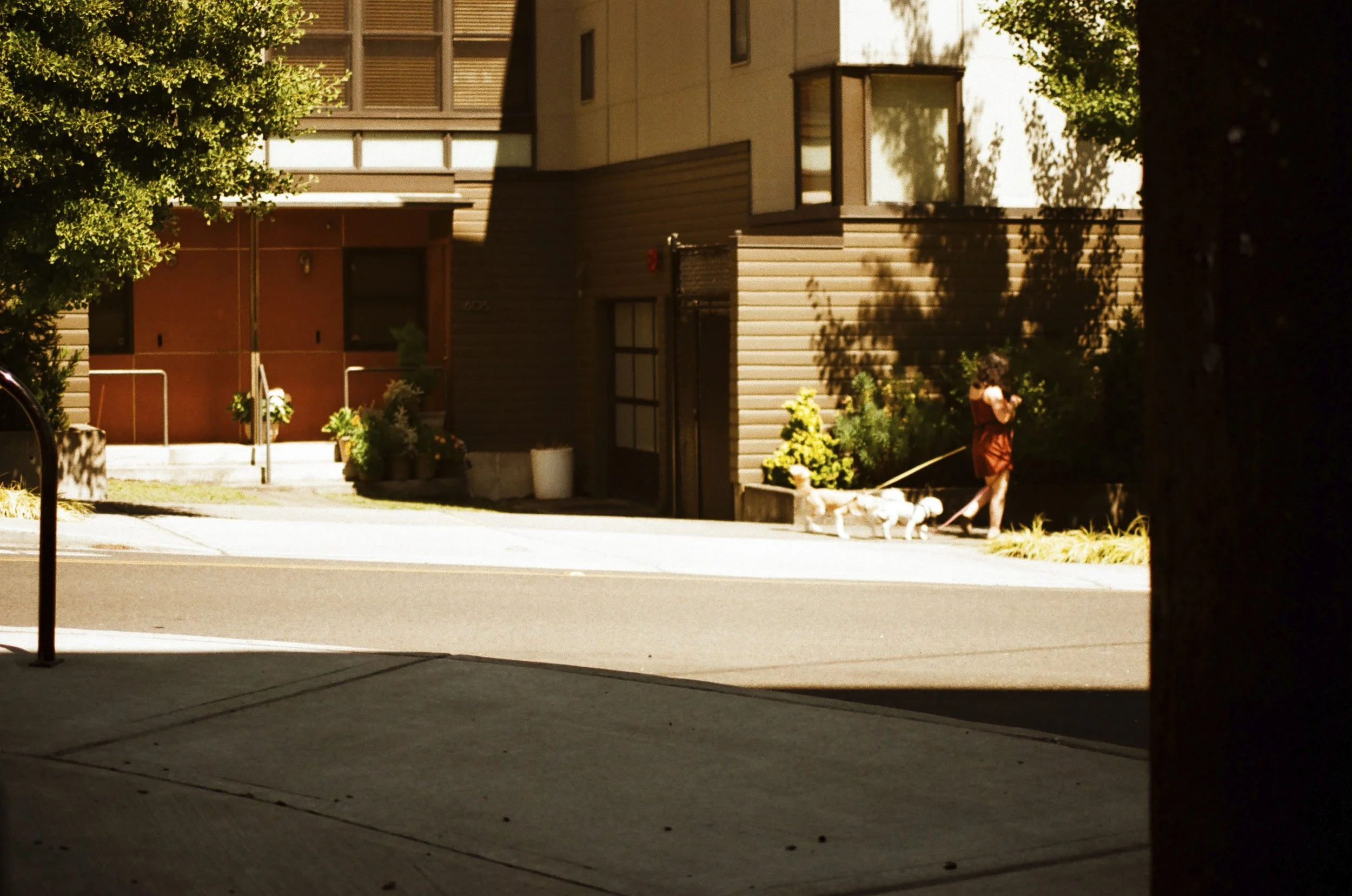 Expired Fuji 100 (shot at 25) 