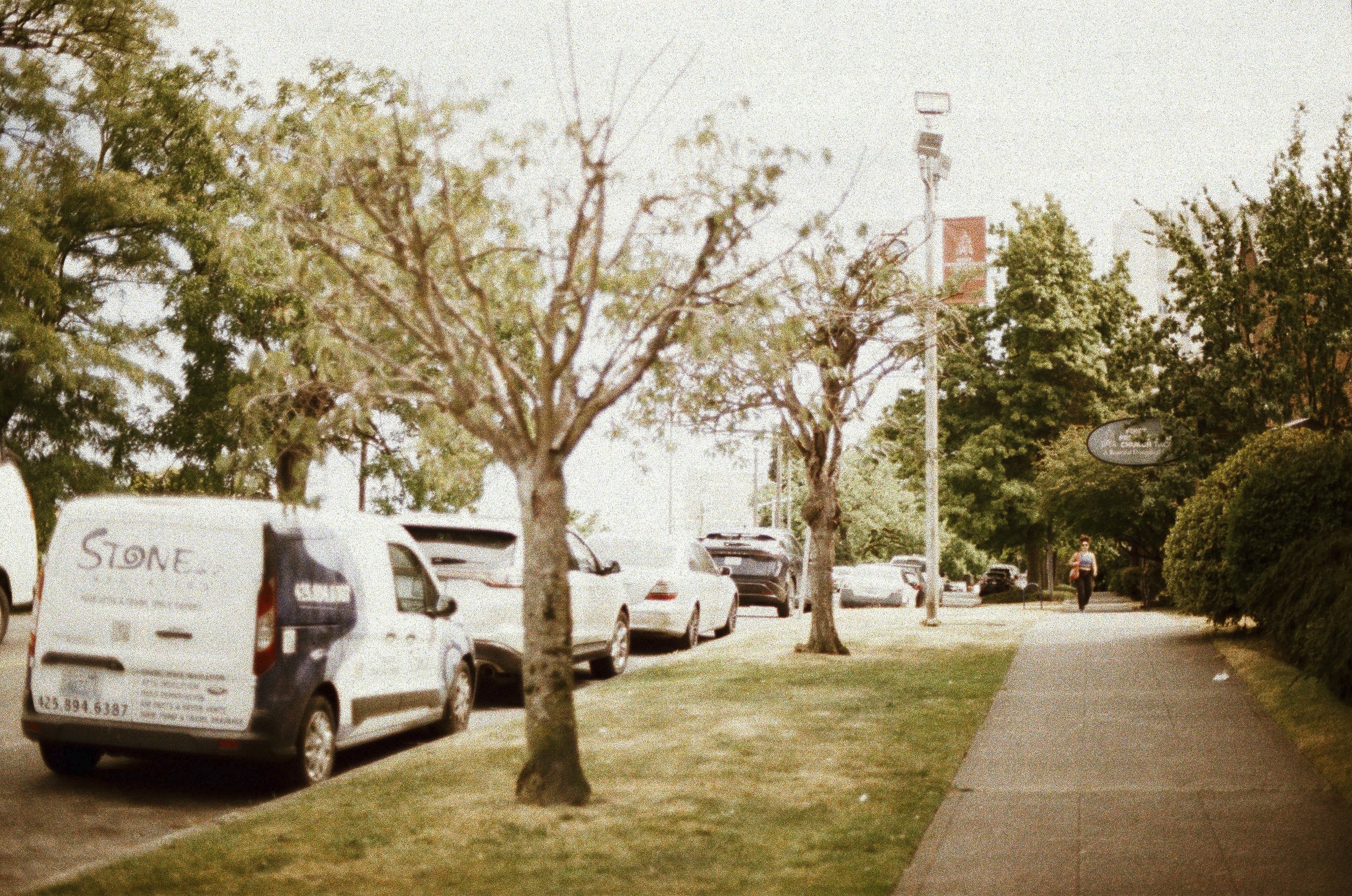 Expired Fuji 100 (shot at 25) pushed 1 stop