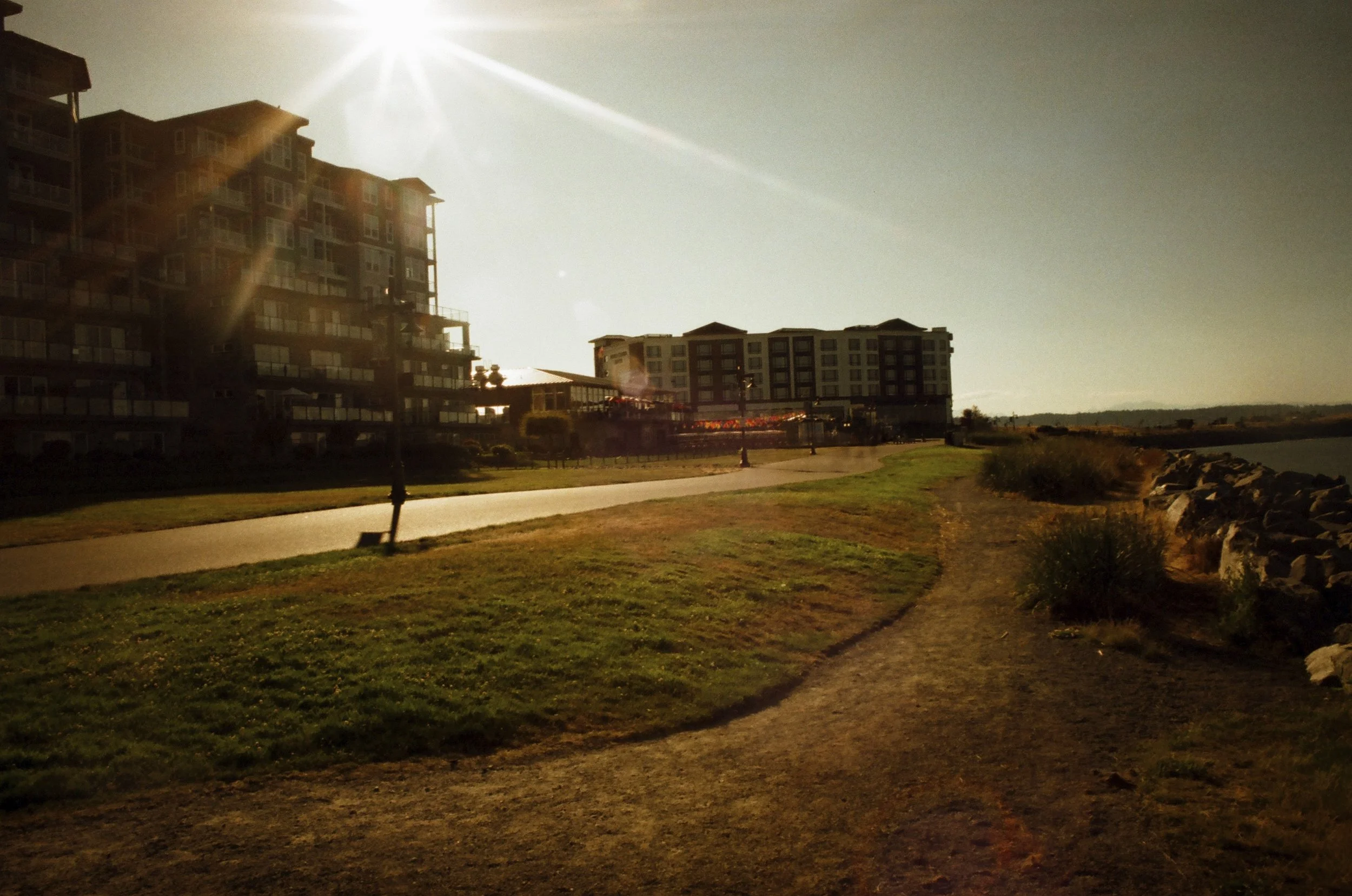 Expired Fuji 100 (shot at 25) 