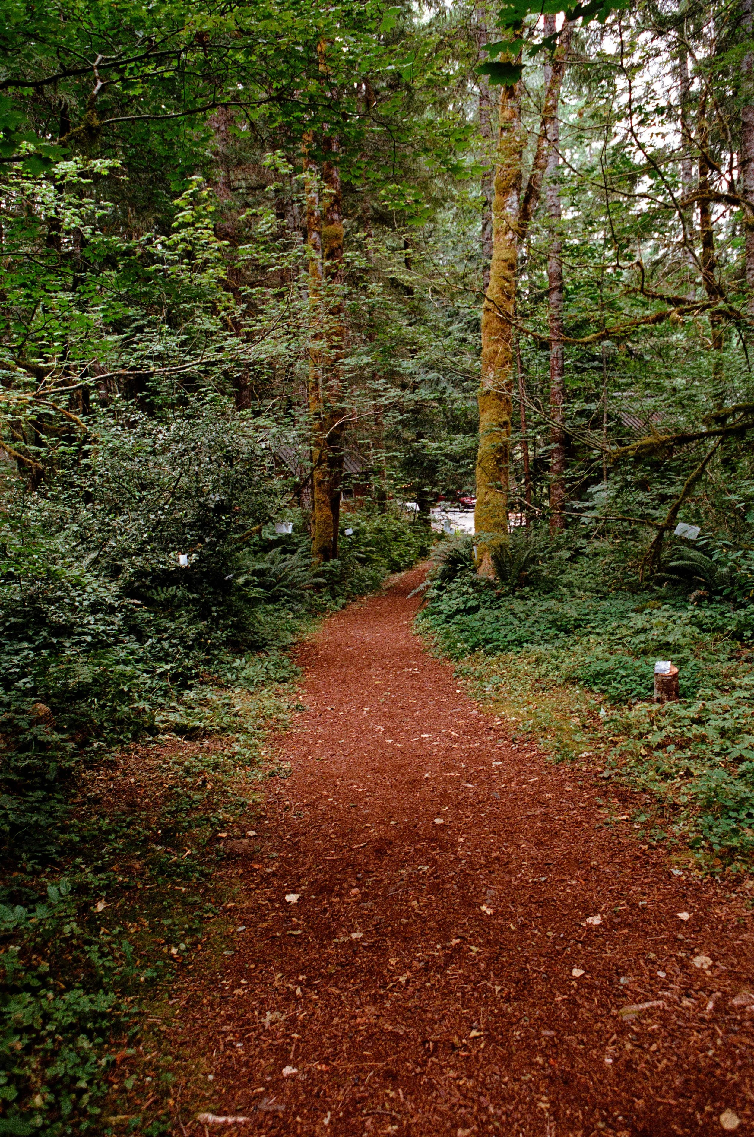 2026.08.15.portra.400.2-5.jpg