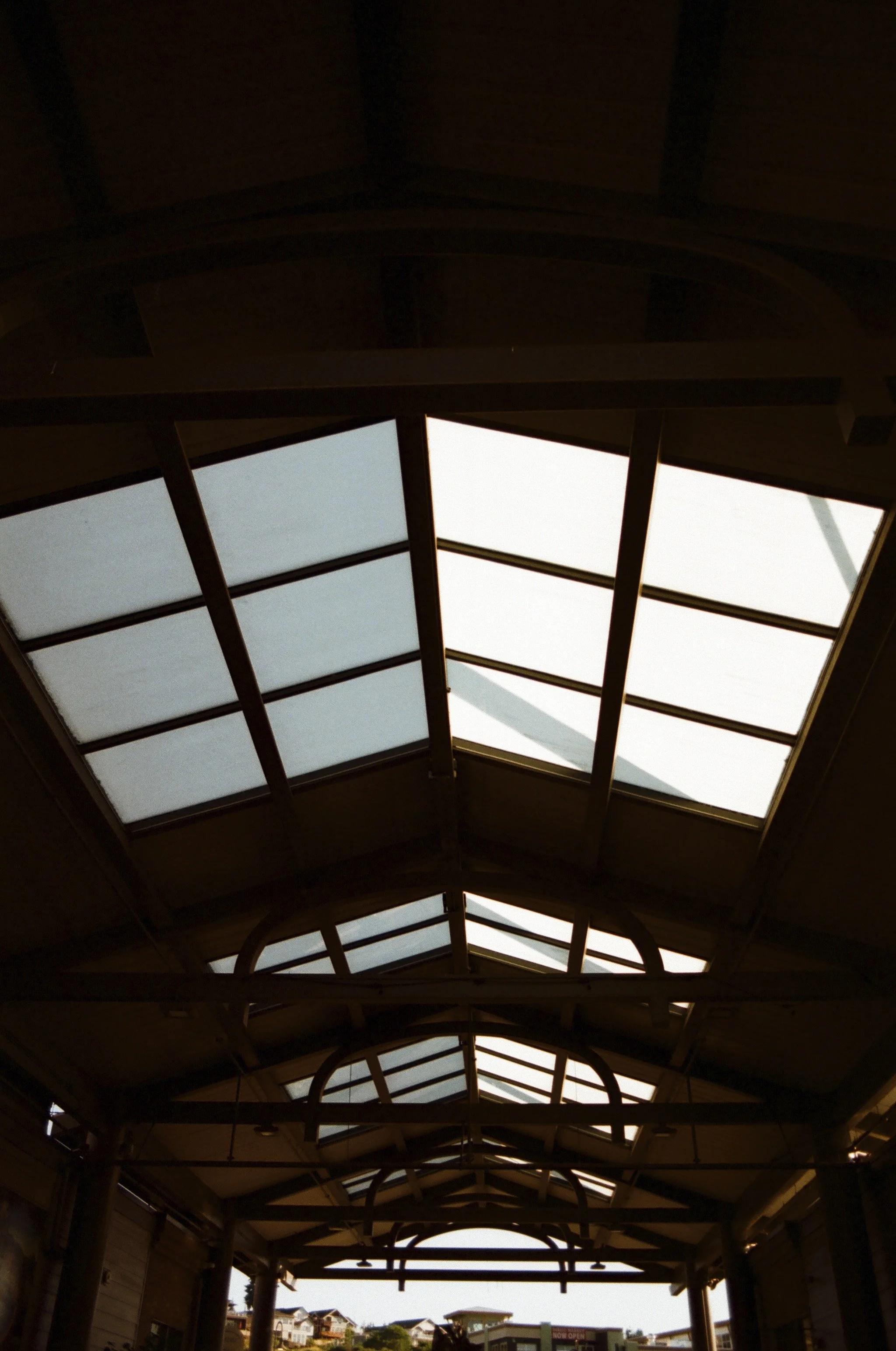 Expired Fuji 100 (shot at 25) 