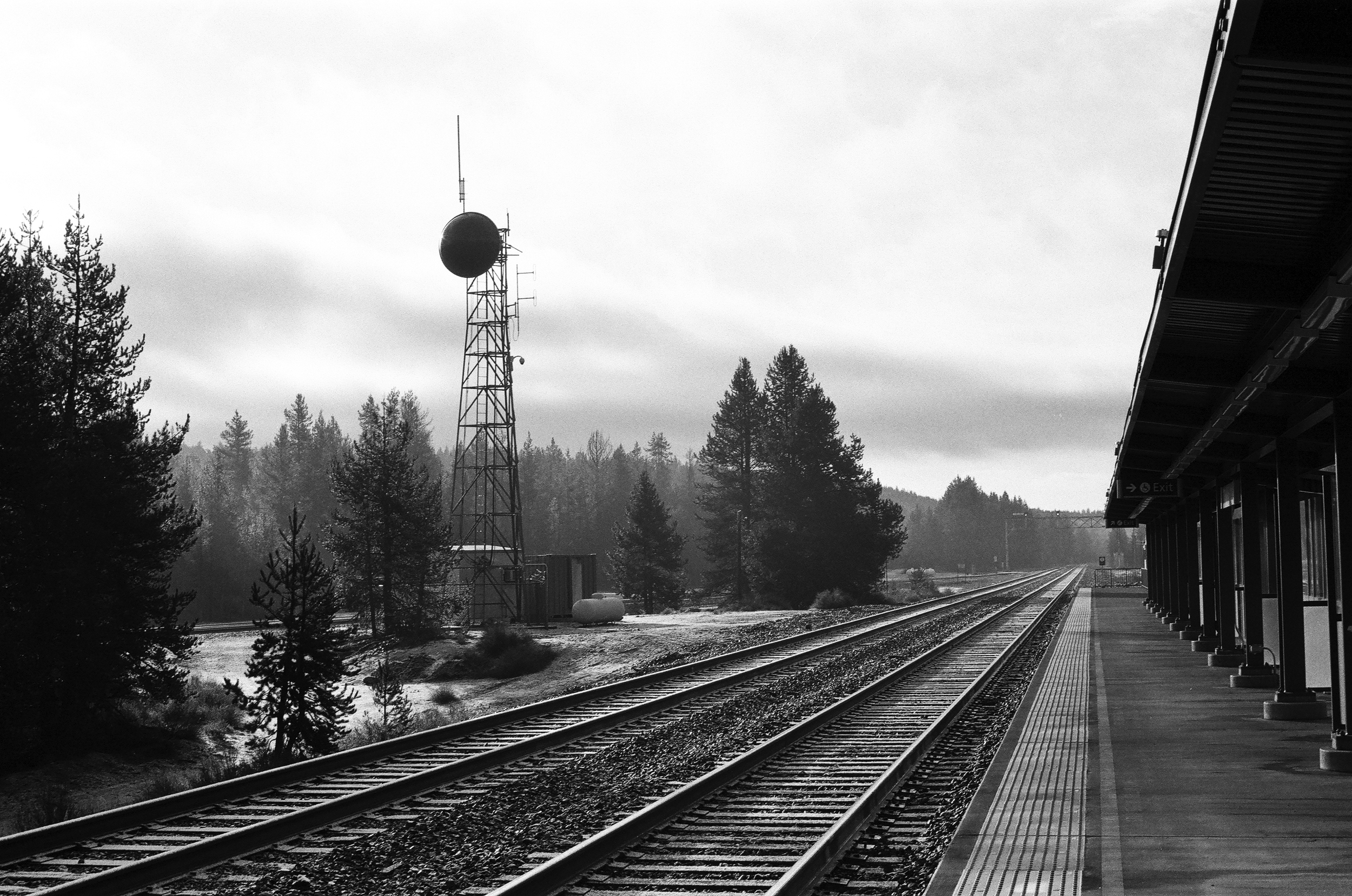 Shot on 35mm Ilford Delta 100 black and white film