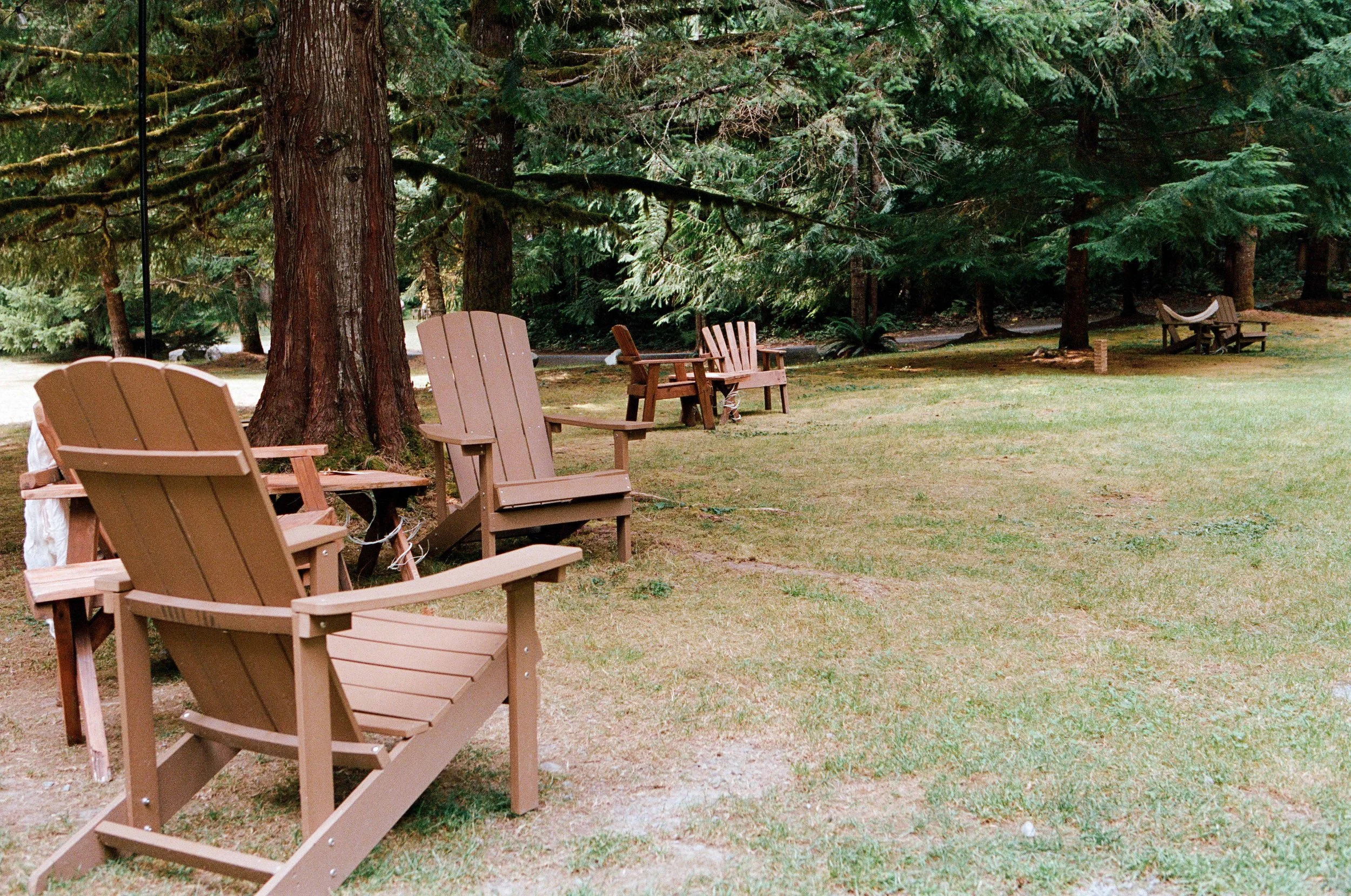 2026.08.15.portra.400.1-4.jpg