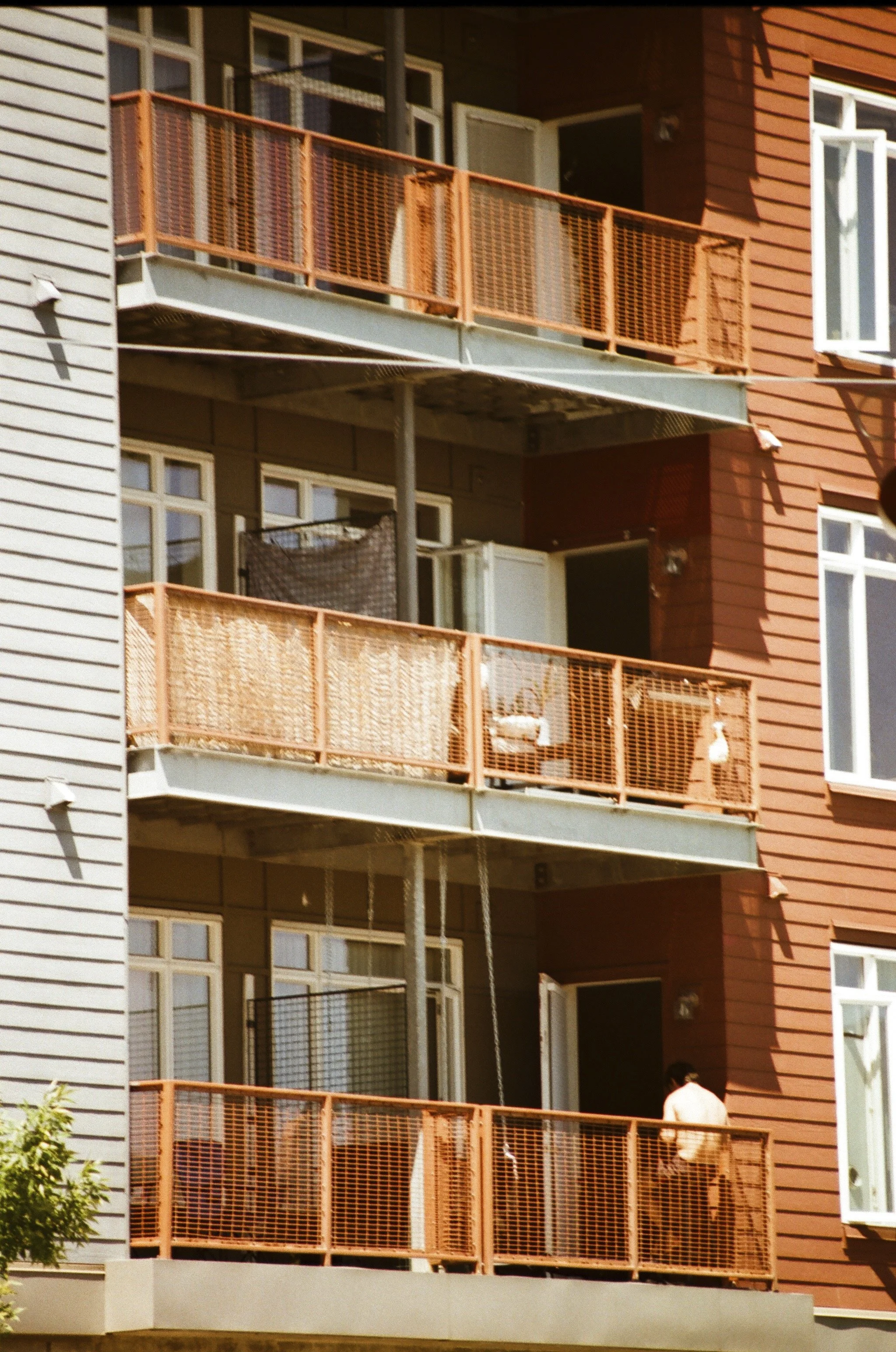 Expired Fuji 100 (shot at 25) 