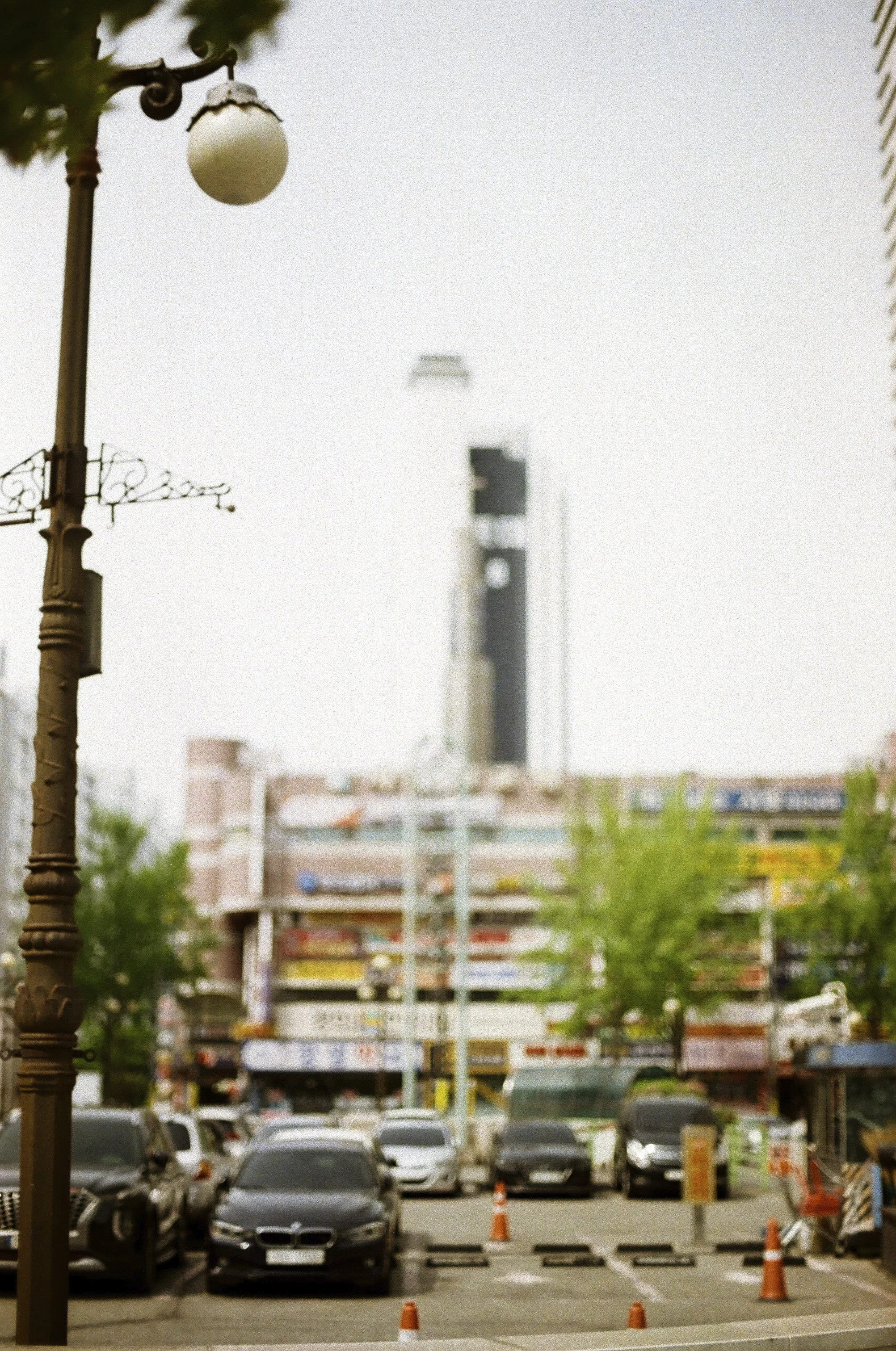 Expired Fuji 100 (shot at 25)