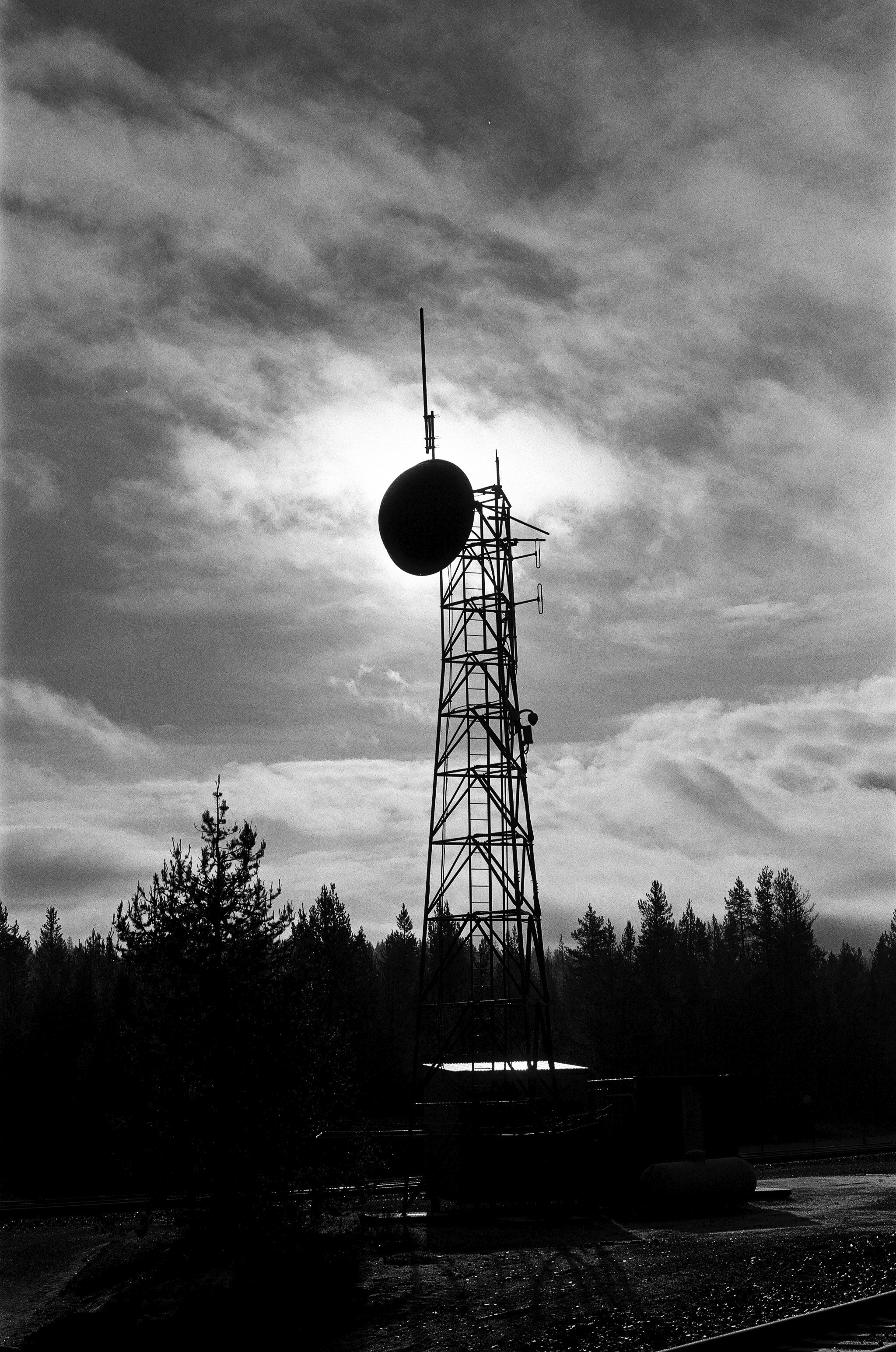 Shot on 35mm Ilford Delta 100 black and white film