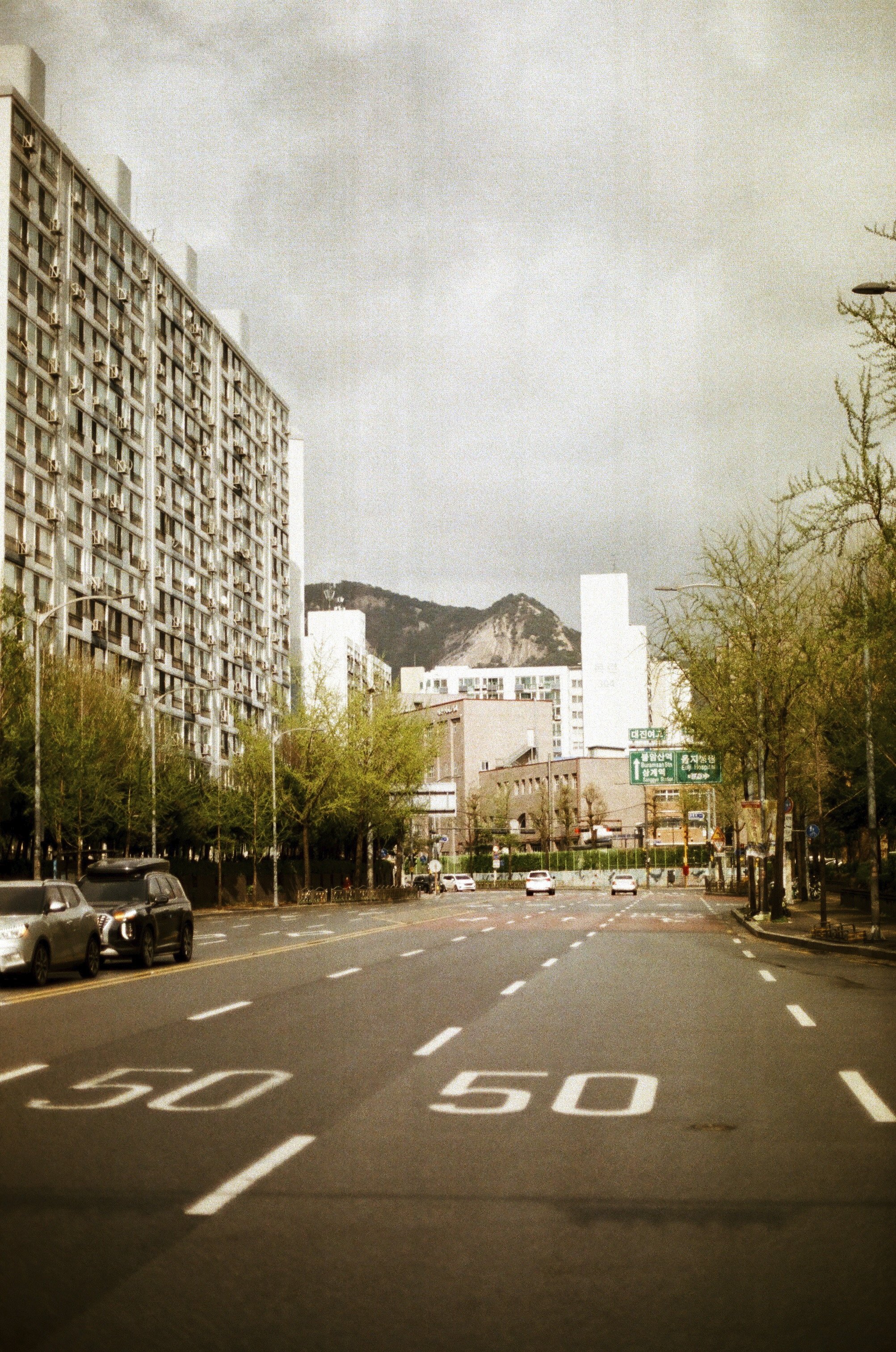 Expired Fuji 100 (shot at 25)