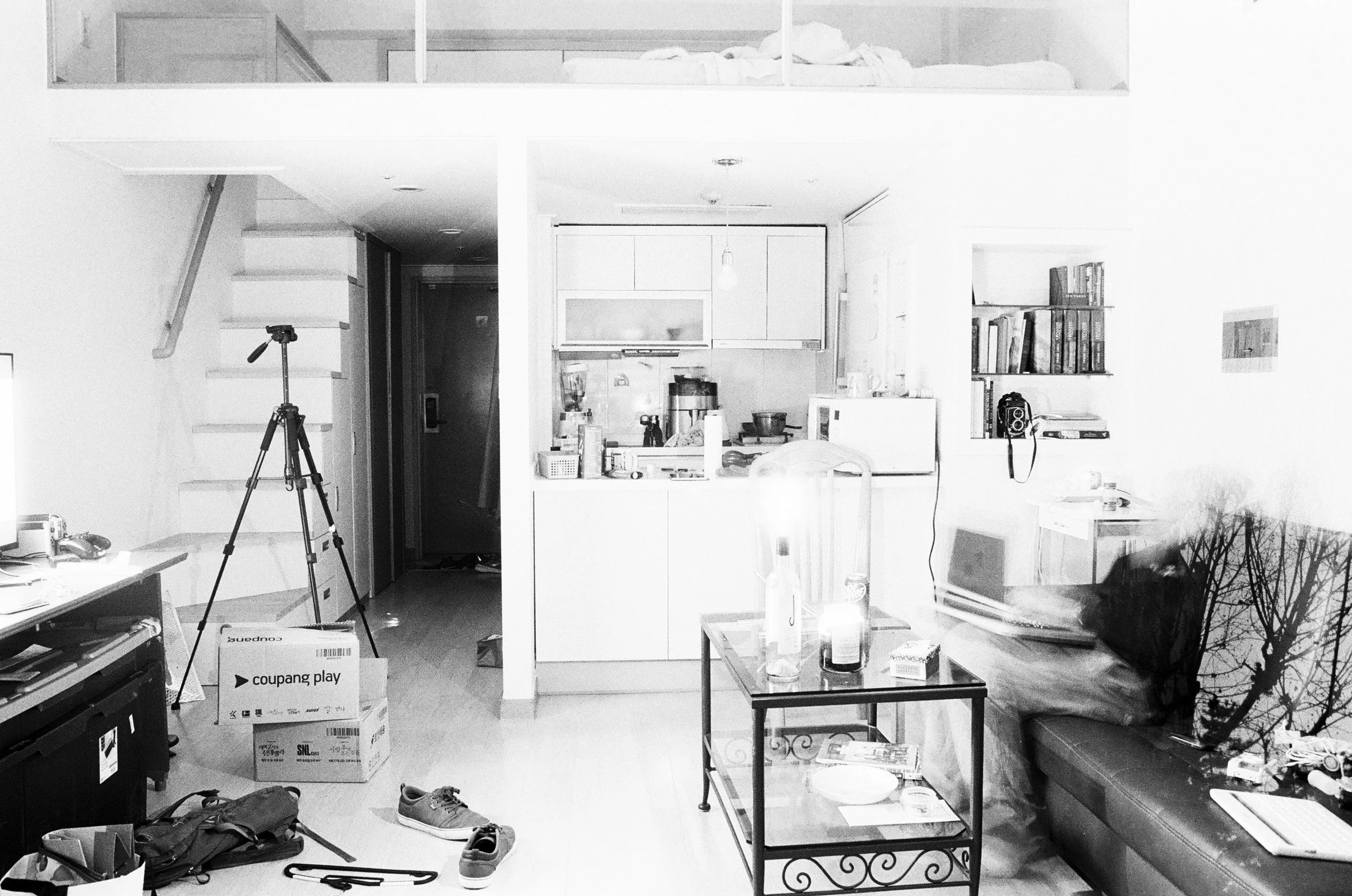 10-10-25 - Boreas.jpeg