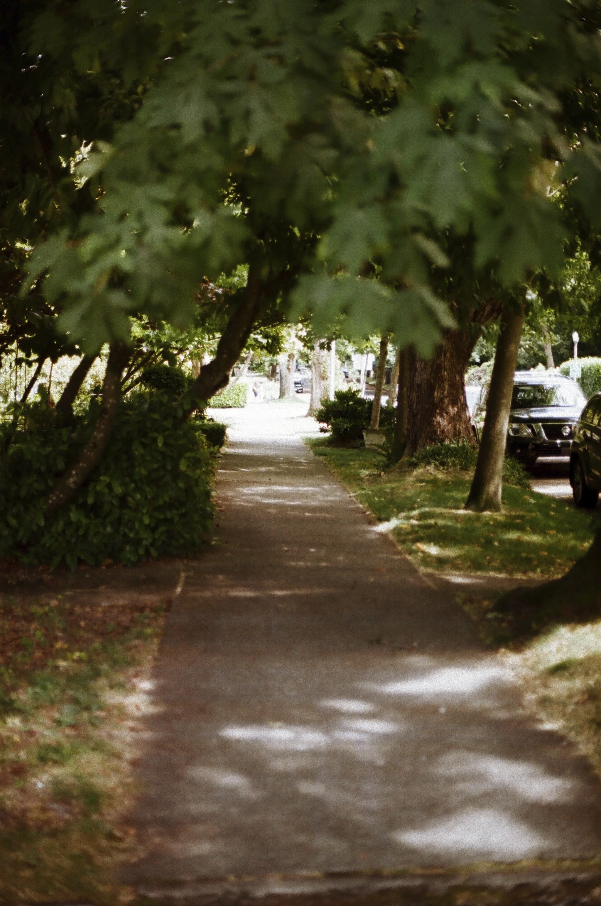 Expired Fuji 100 (shot at 25) pushed 1 stop