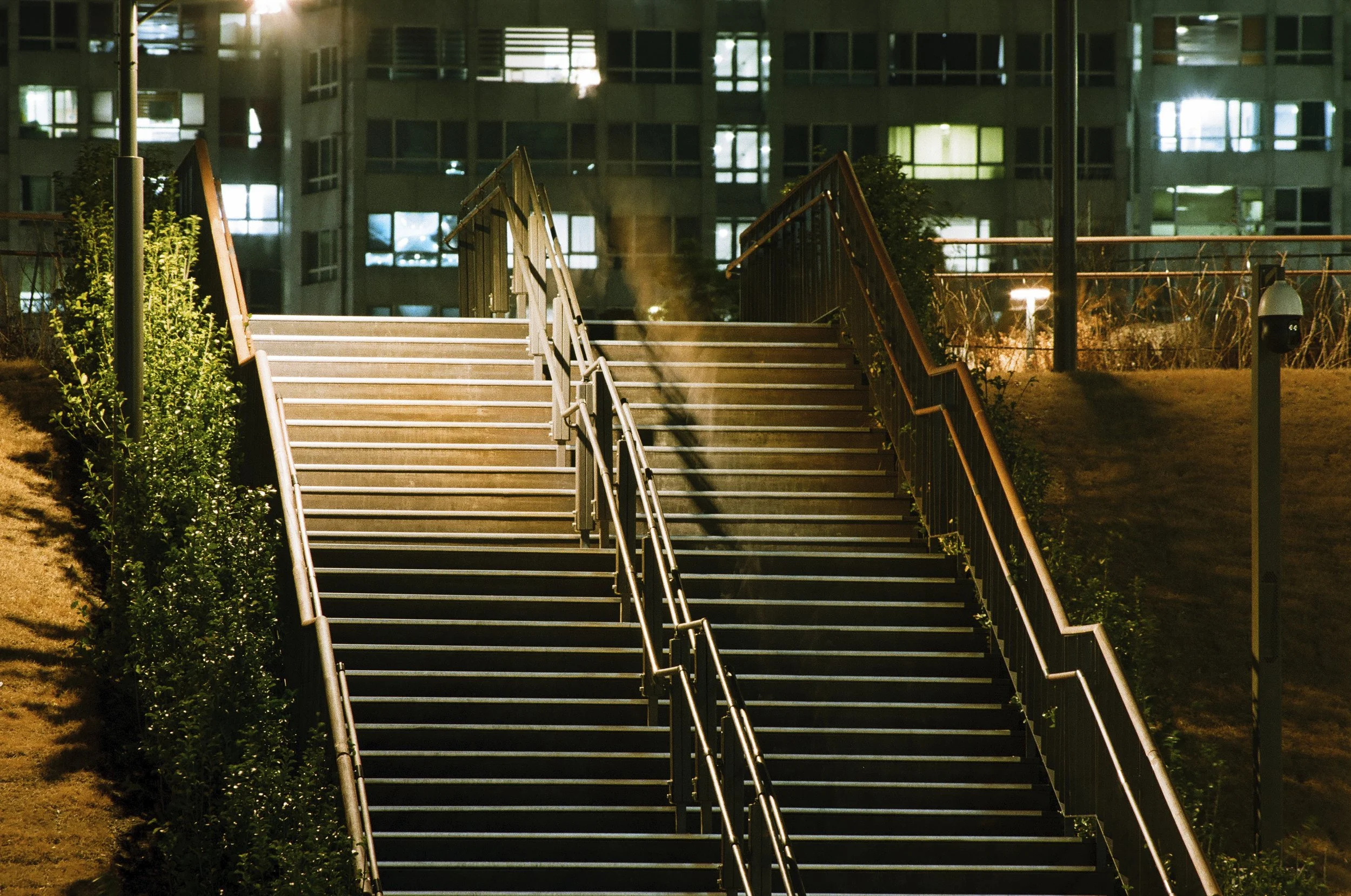 the runners are gone.jpeg