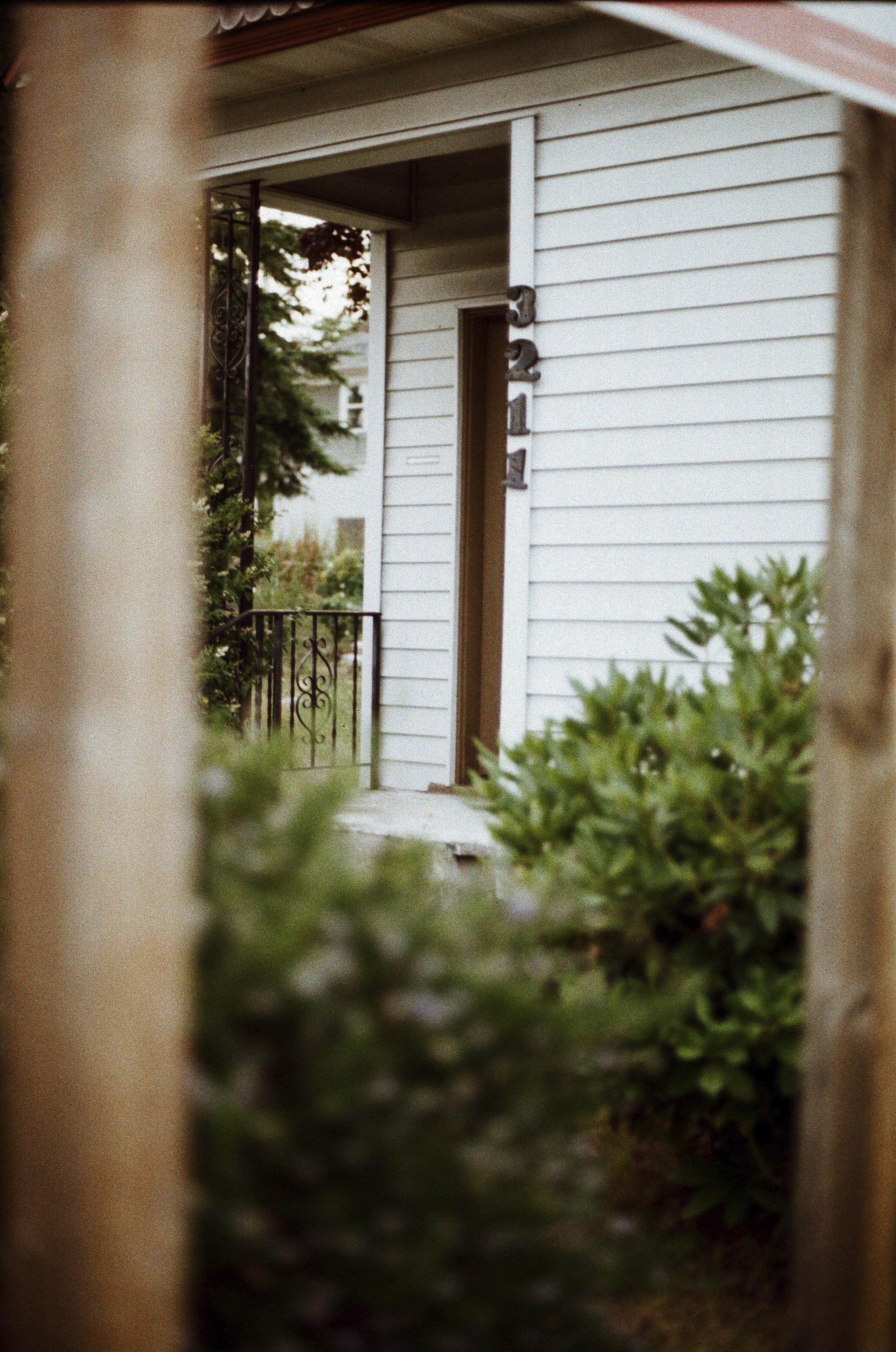 Expired Fuji 100 (shot at 25) pushed 1 stop