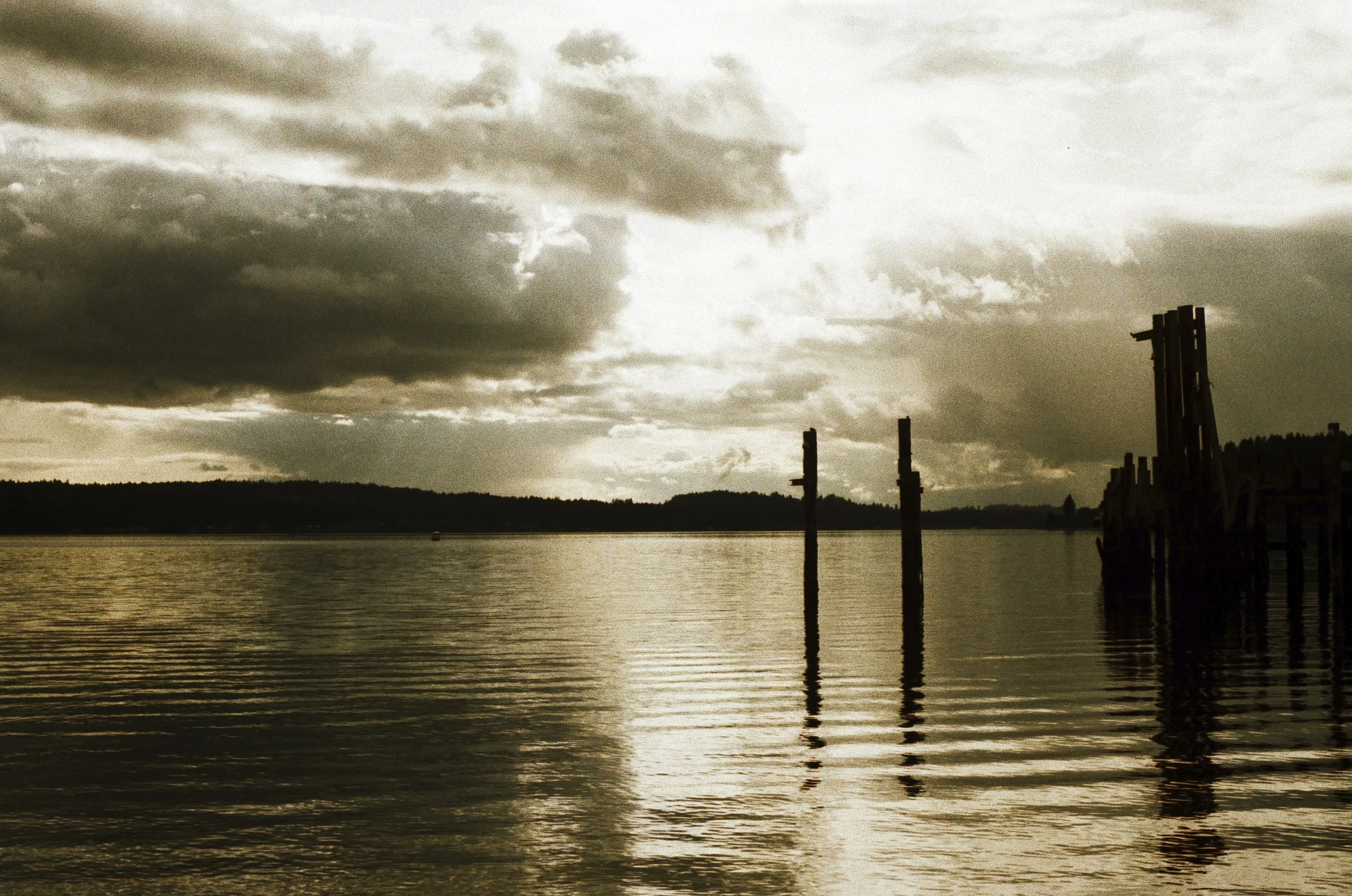 Expired Fuji 100 (shot at 25) pushed 1 stop