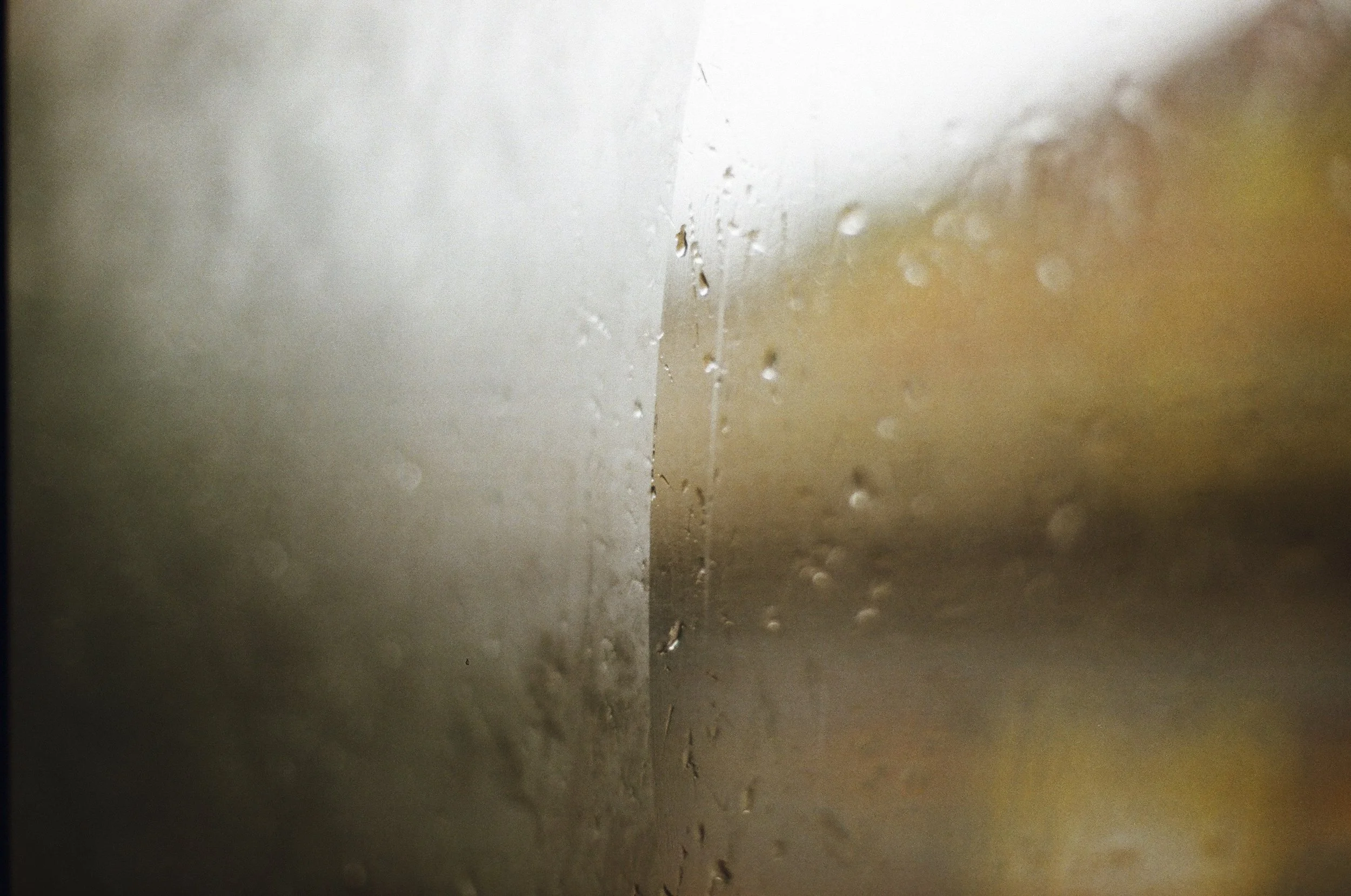 Expired Fuji 100 (shot at 25)