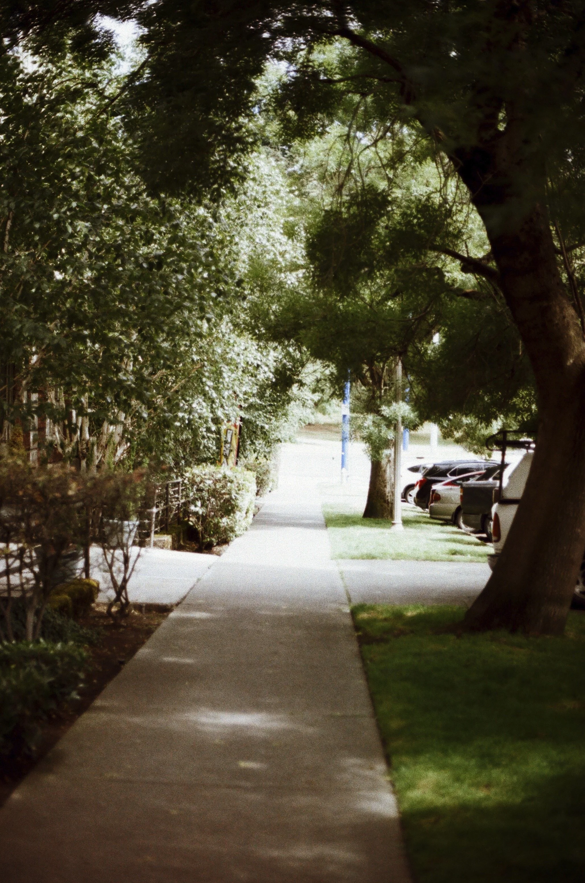 Expired Fuji 100 (shot at 25) pushed 1 stop