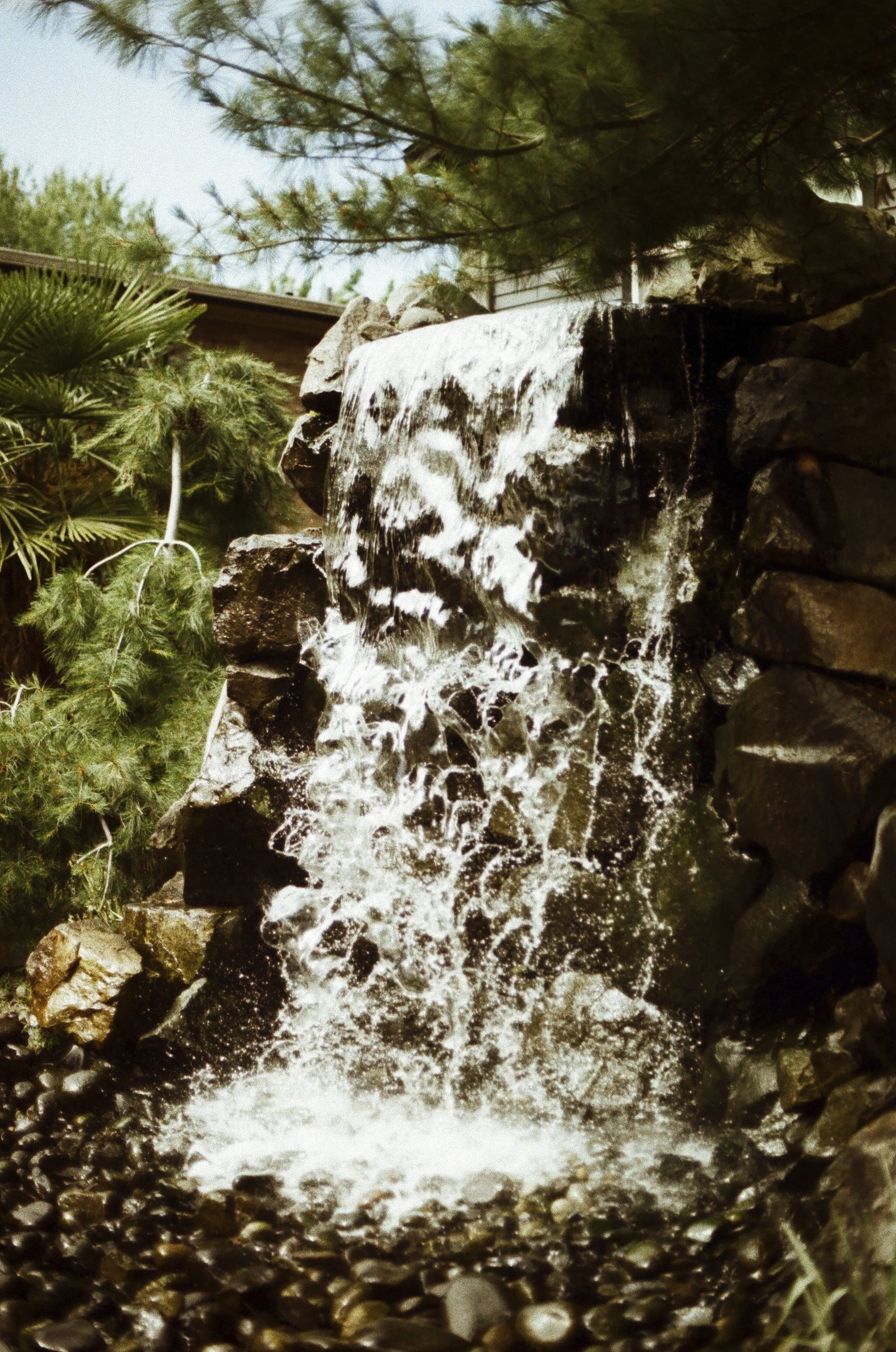 Expired Fuji 100 (shot at 25) pushed 1 stop