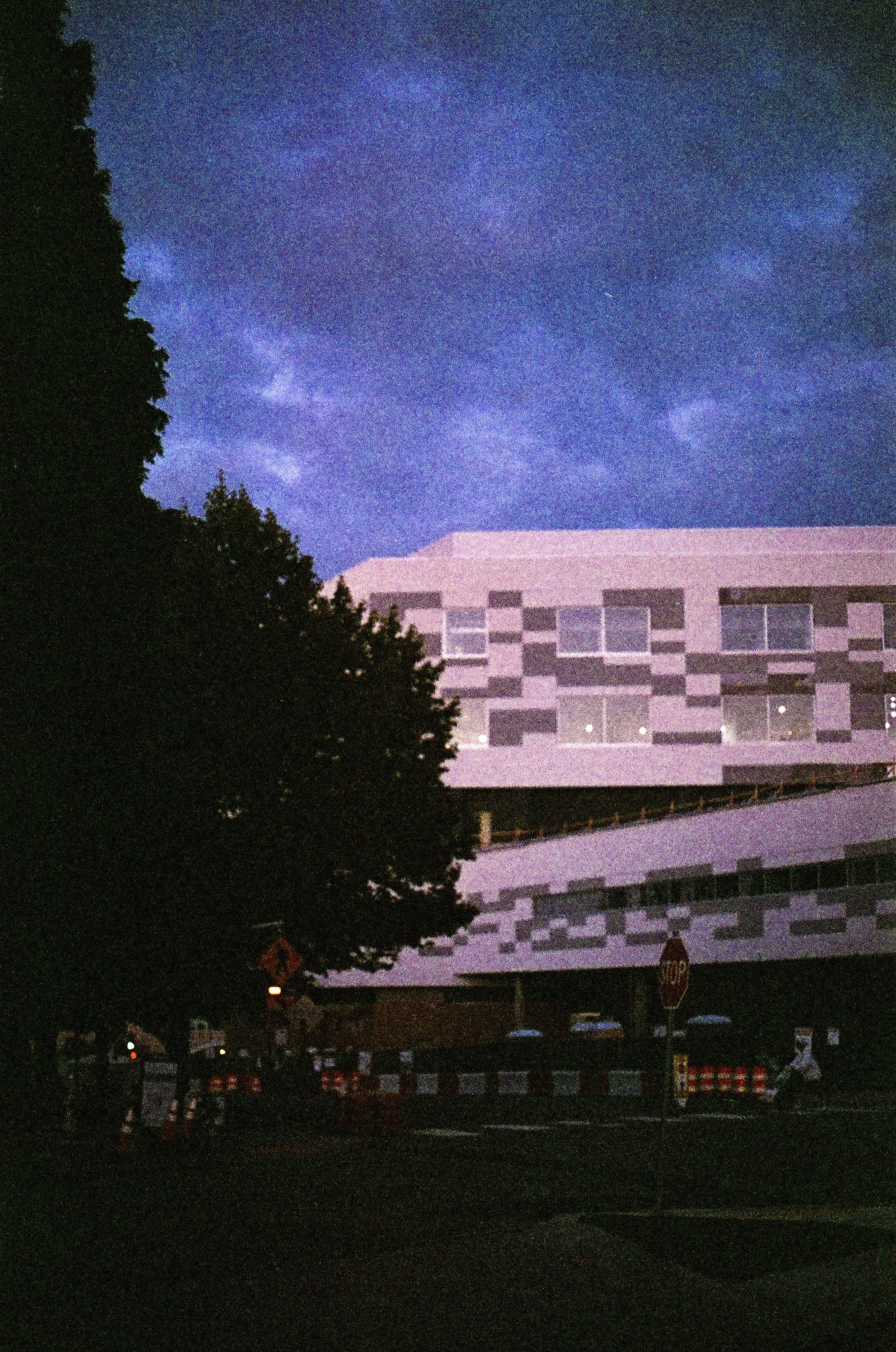 Expired Kodak Gold 100