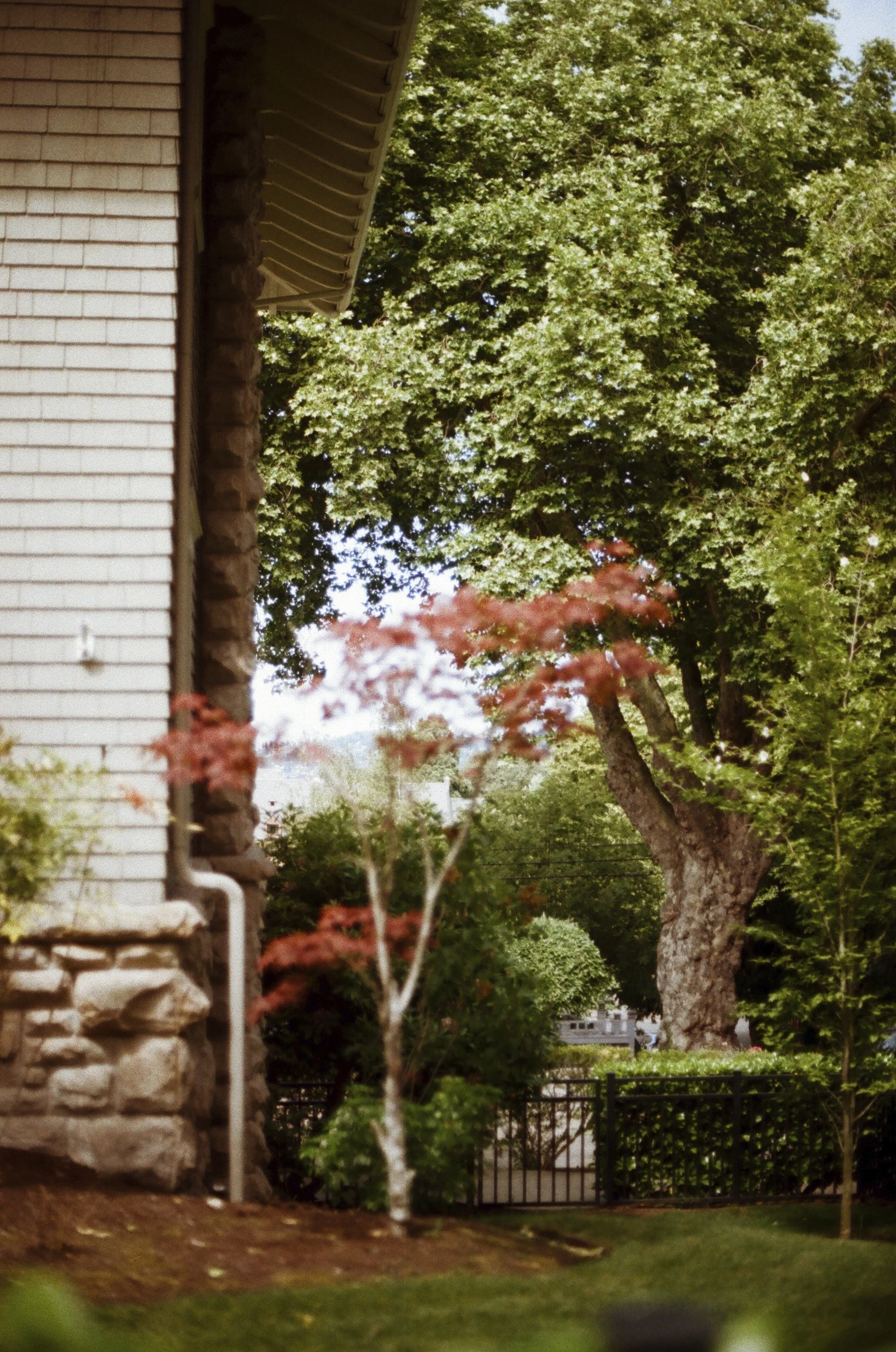 Expired Fuji 100 (shot at 25) pushed 1 stop