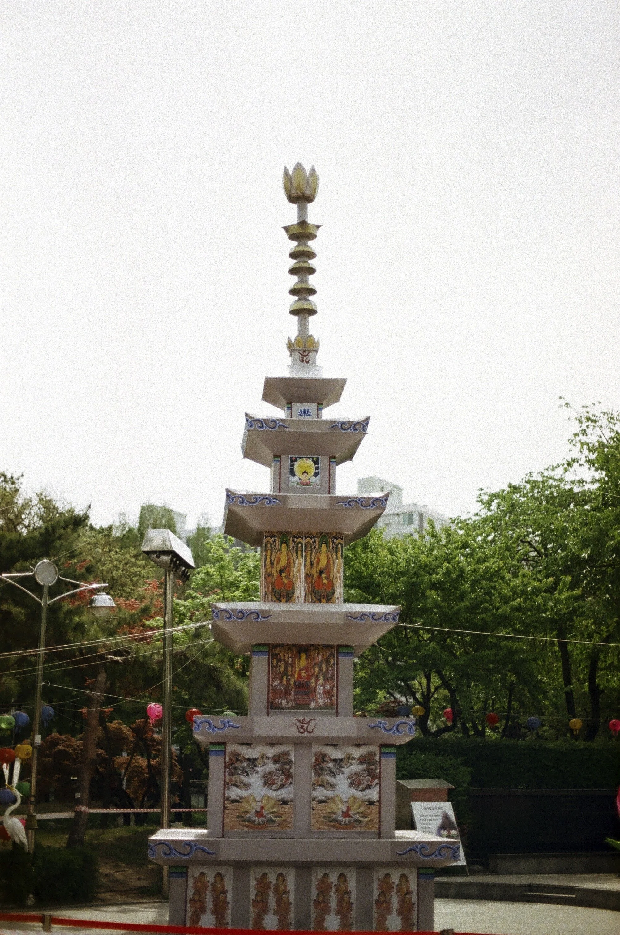 Expired Fuji 100 (shot at 25)