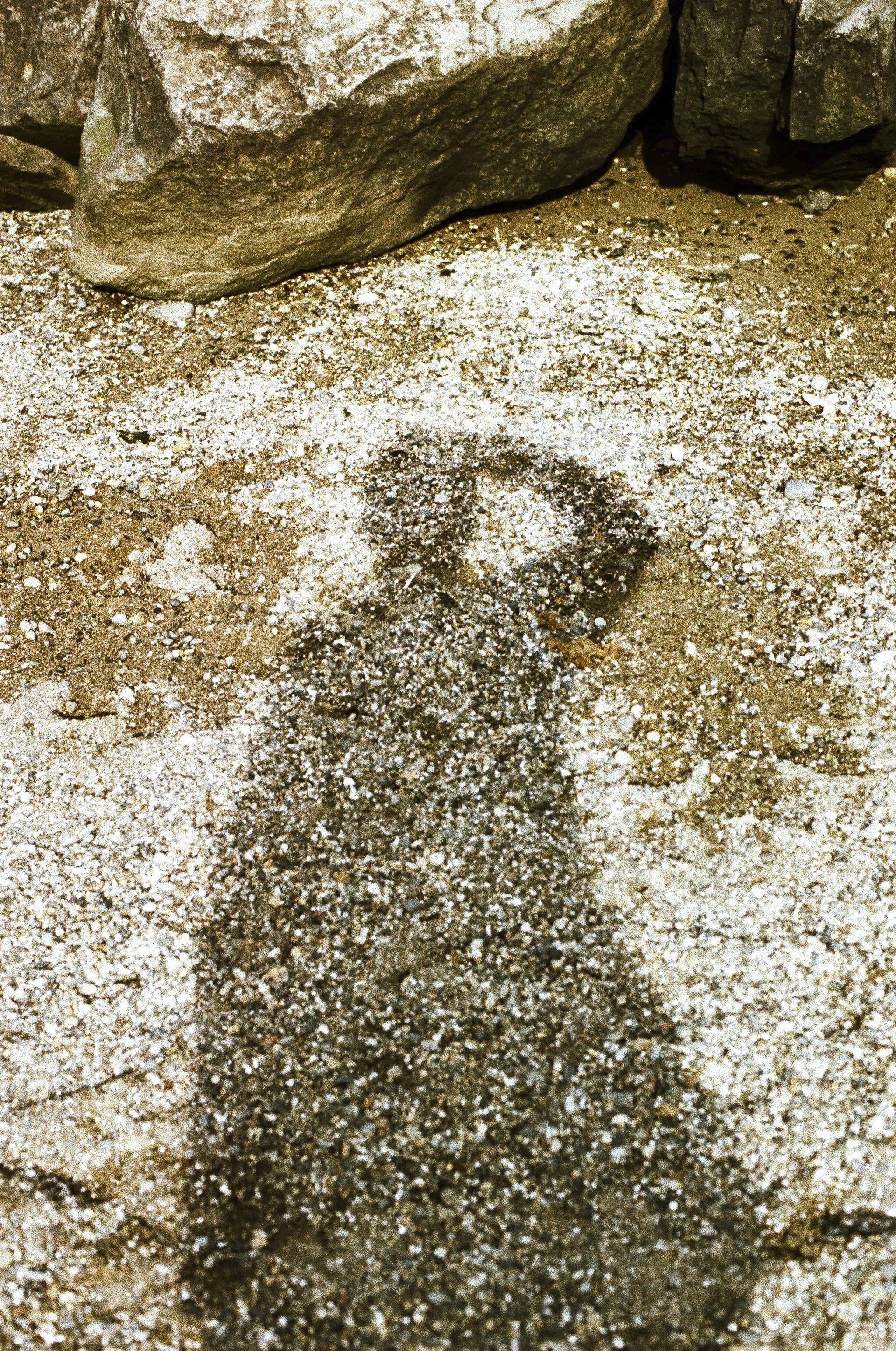 Expired Fuji 100 (shot at 25) pushed 1 stop