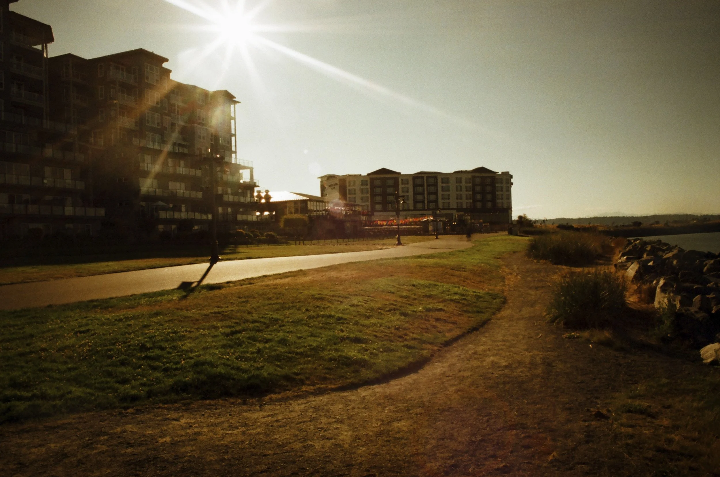 Expired Fuji 100 (shot at 25) 