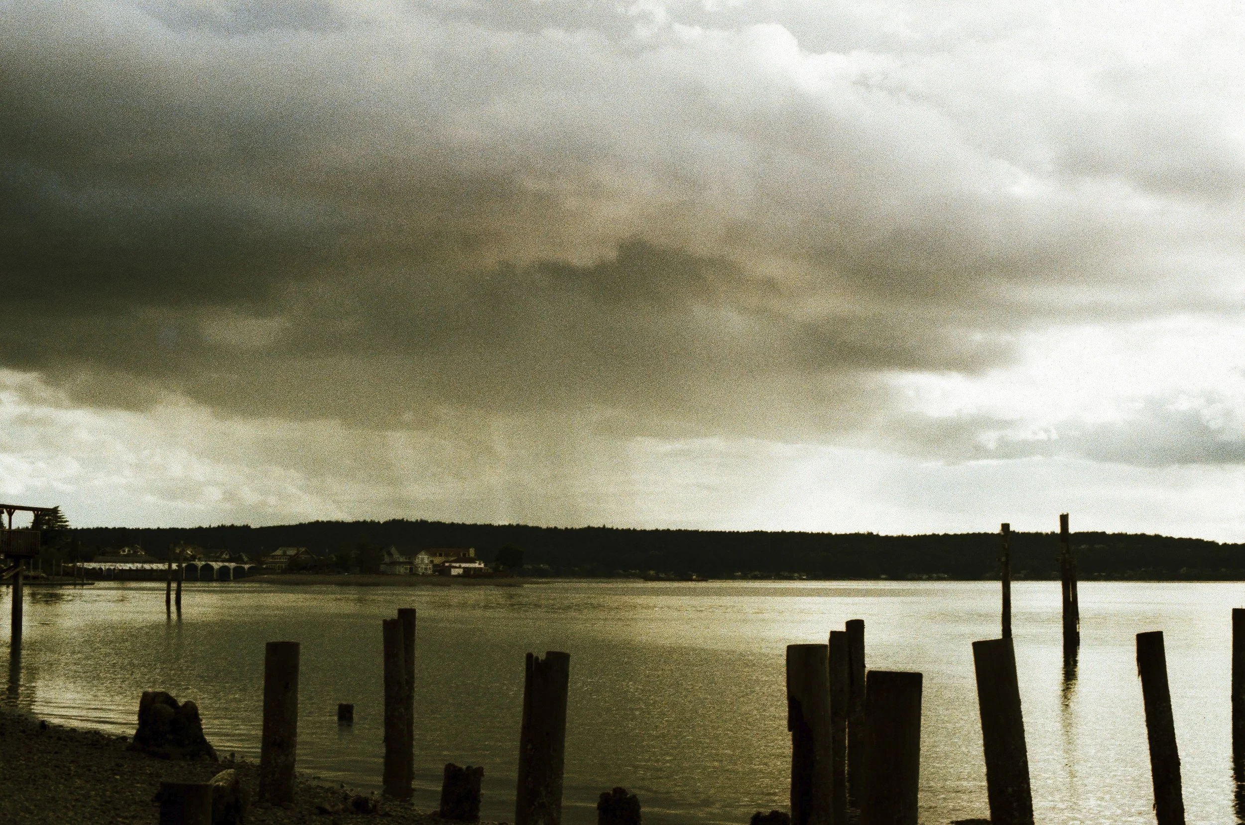 Expired Fuji 100 (shot at 25) pushed 1 stop