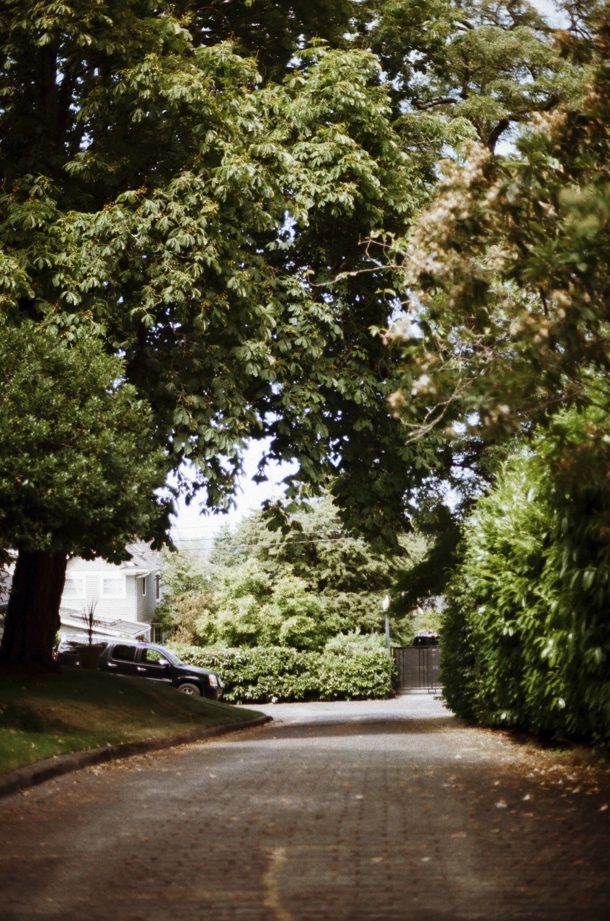 Expired Fuji 100 (shot at 25) pushed 1 stop