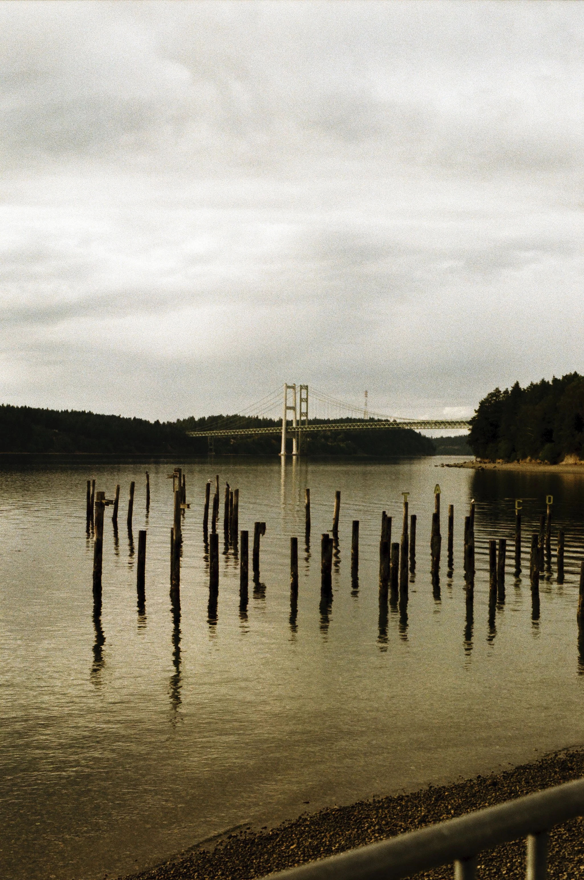 turn the wrong way, nothing.jpeg