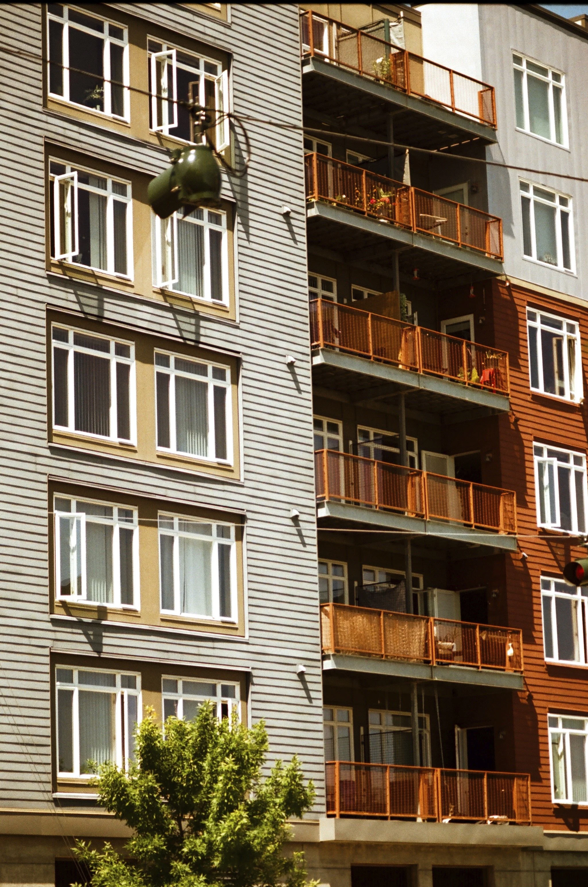 Expired Fuji 100 (shot at 25) 