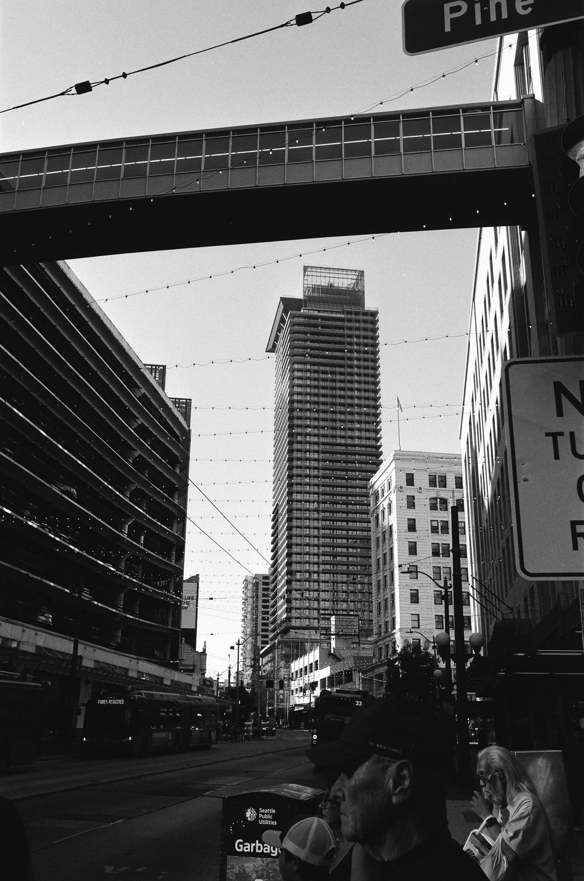 criss-cross the sky.jpeg