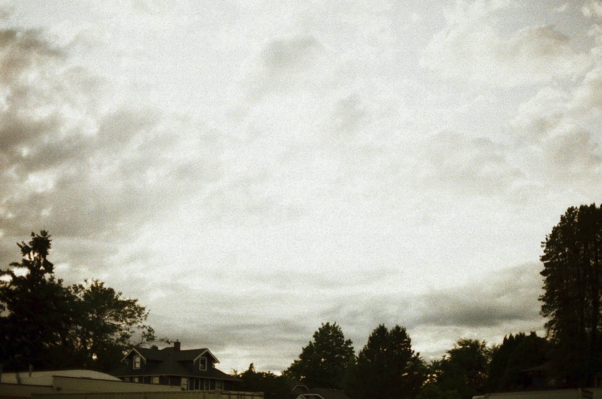 Expired Fuji 100 (shot at 25) pushed 1 stop