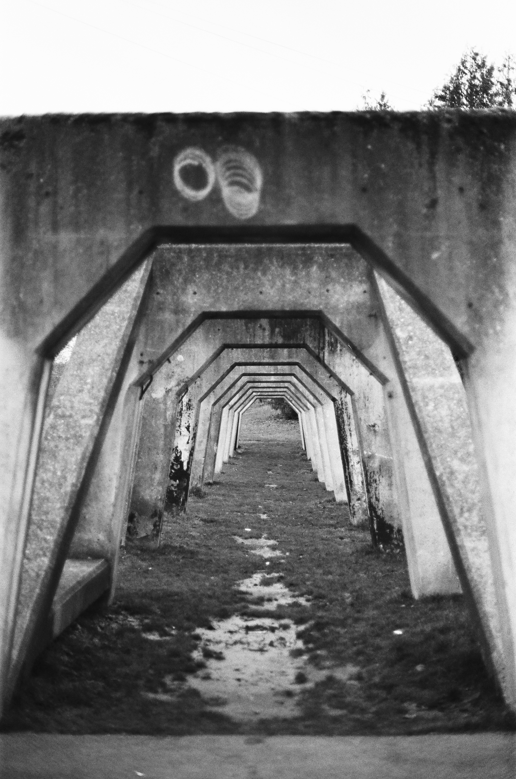 Peer through the stone.png