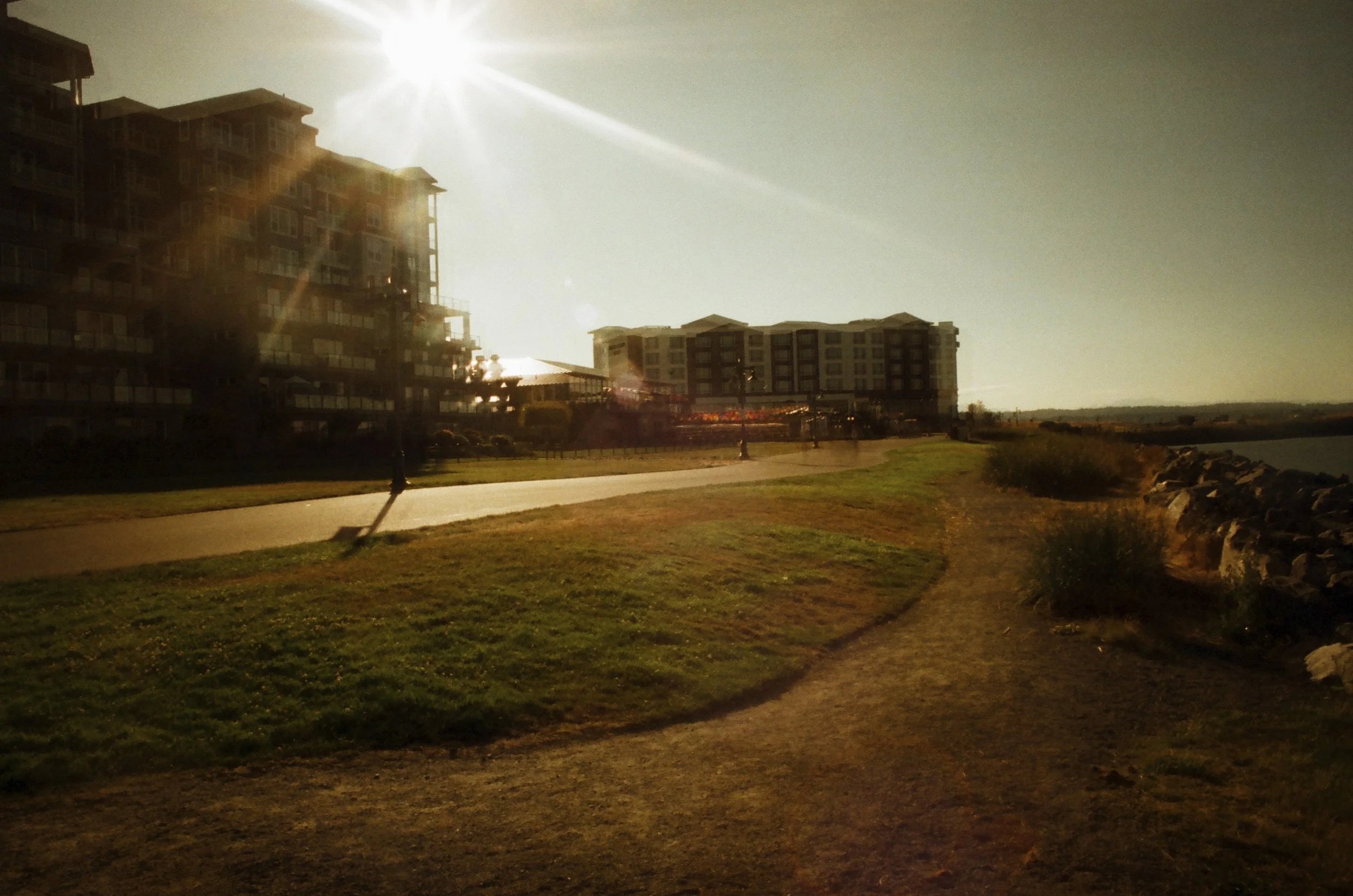 Expired Fuji 100 (shot at 25) 