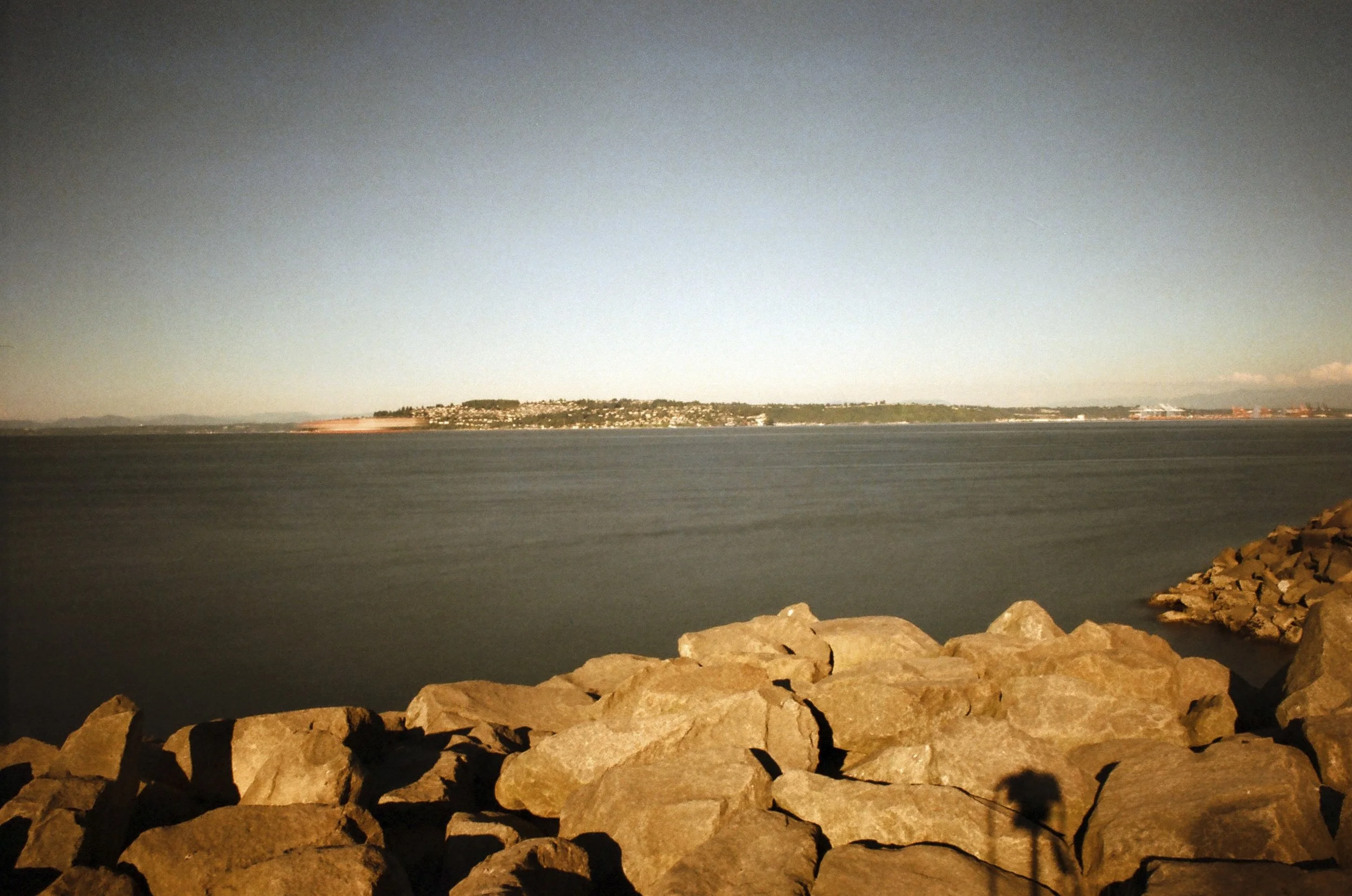 Expired Fuji 100 (shot at 25) 