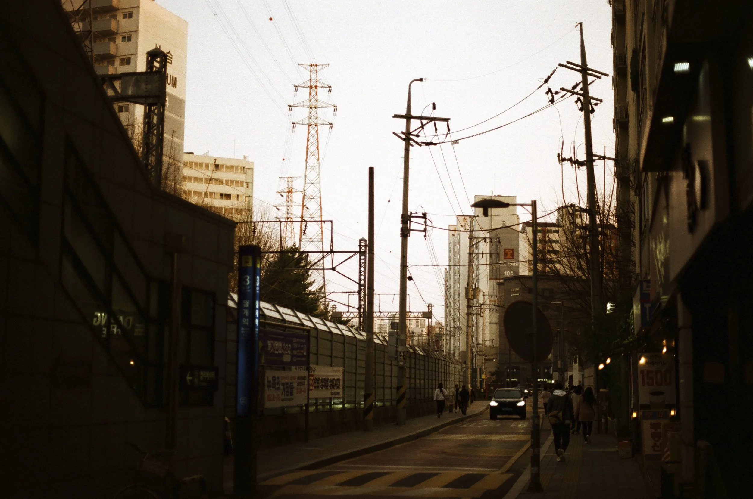 Expired Fuji 100 (shot at 25)